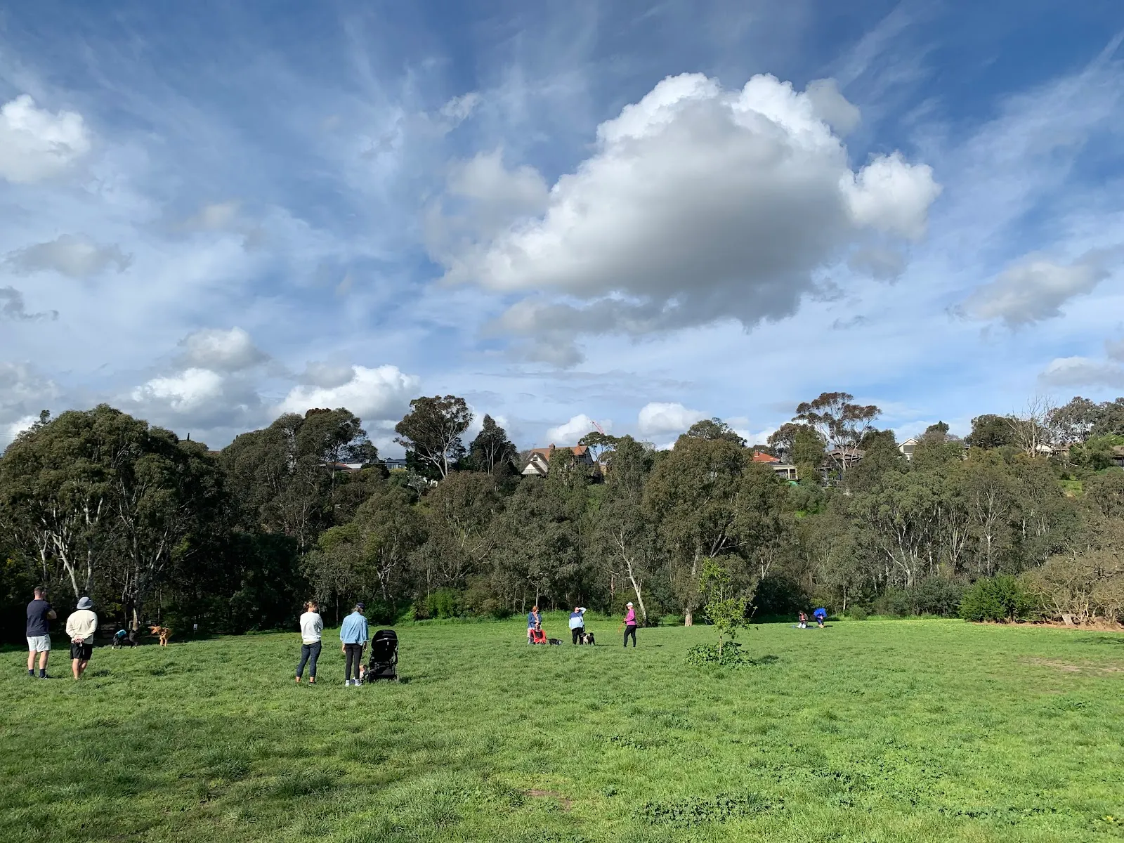 Darebin Parklands Dog Off Leash Area dog park