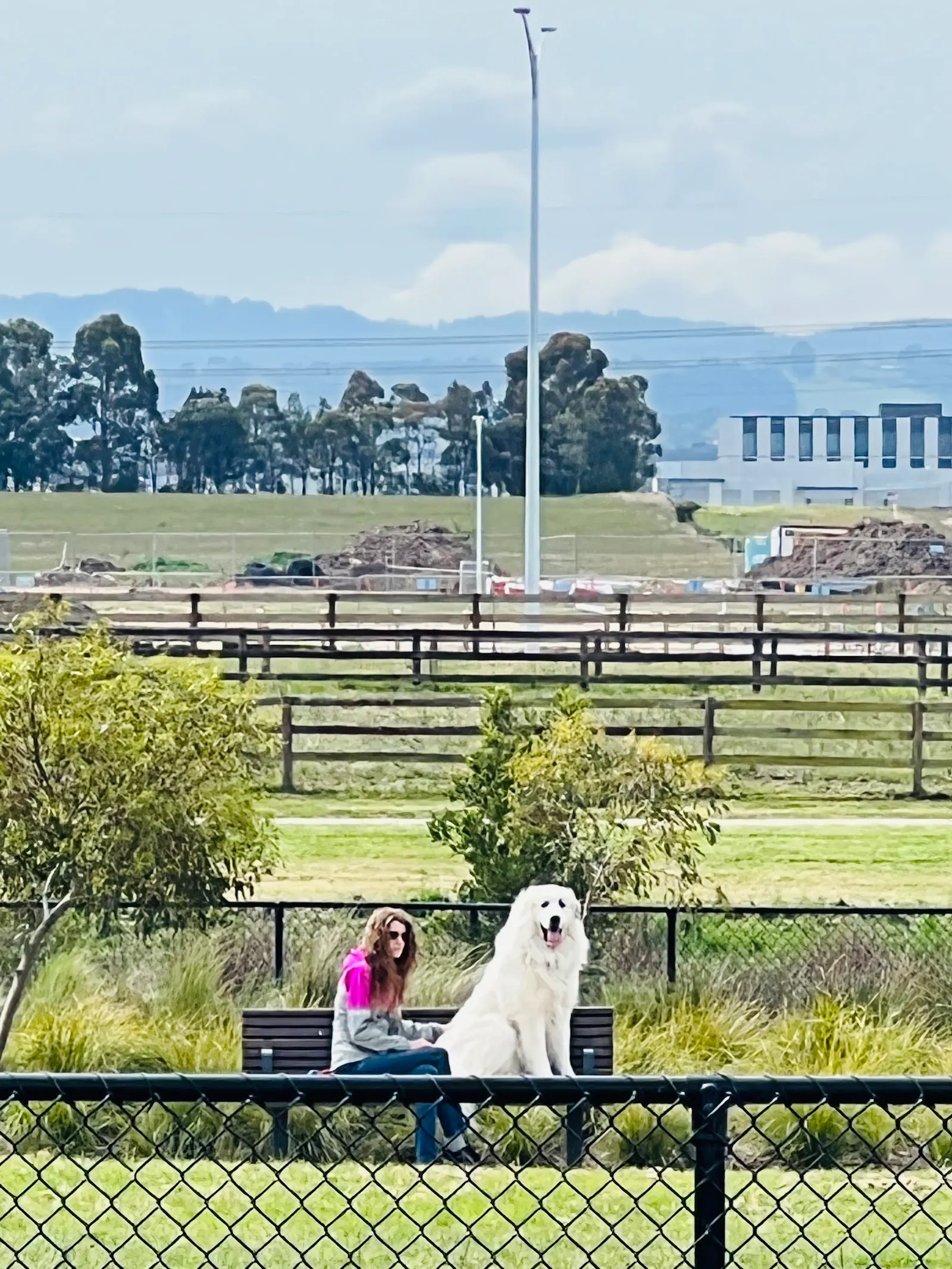 Corroboree Street Fenced Dog Park dog park
