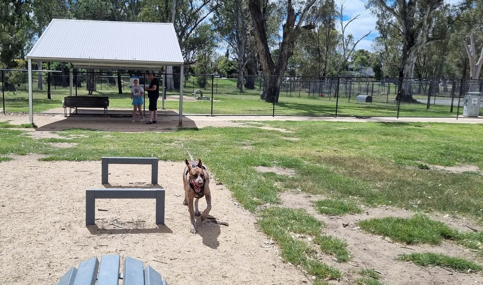 Shepparton Fenced Dog Park (Princess Park) dog park