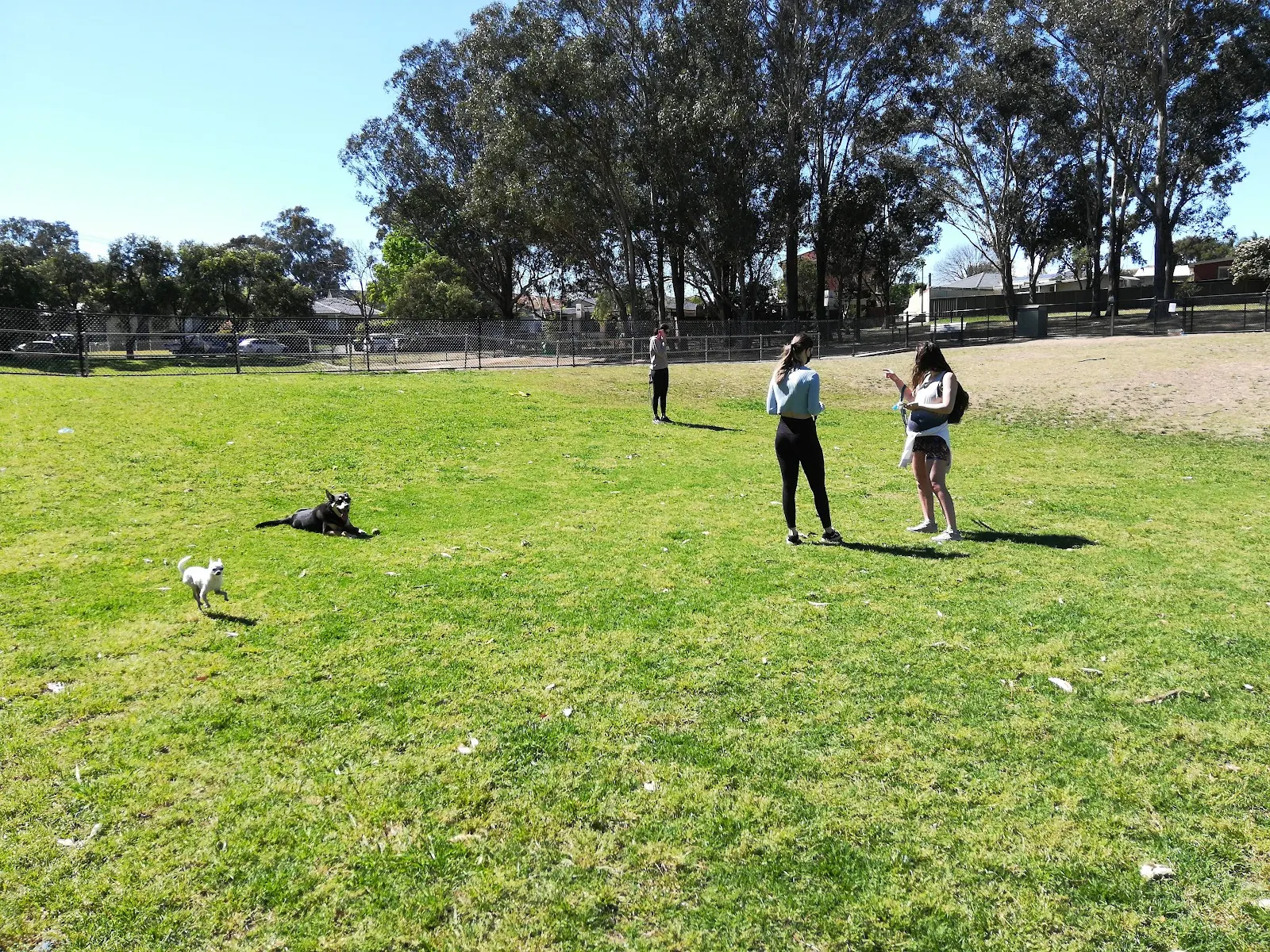 Ridgeview Park Fenced Dog Park dog park