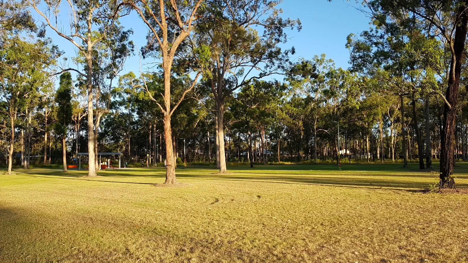 Sturdee Park Fenced Dog Park dog park