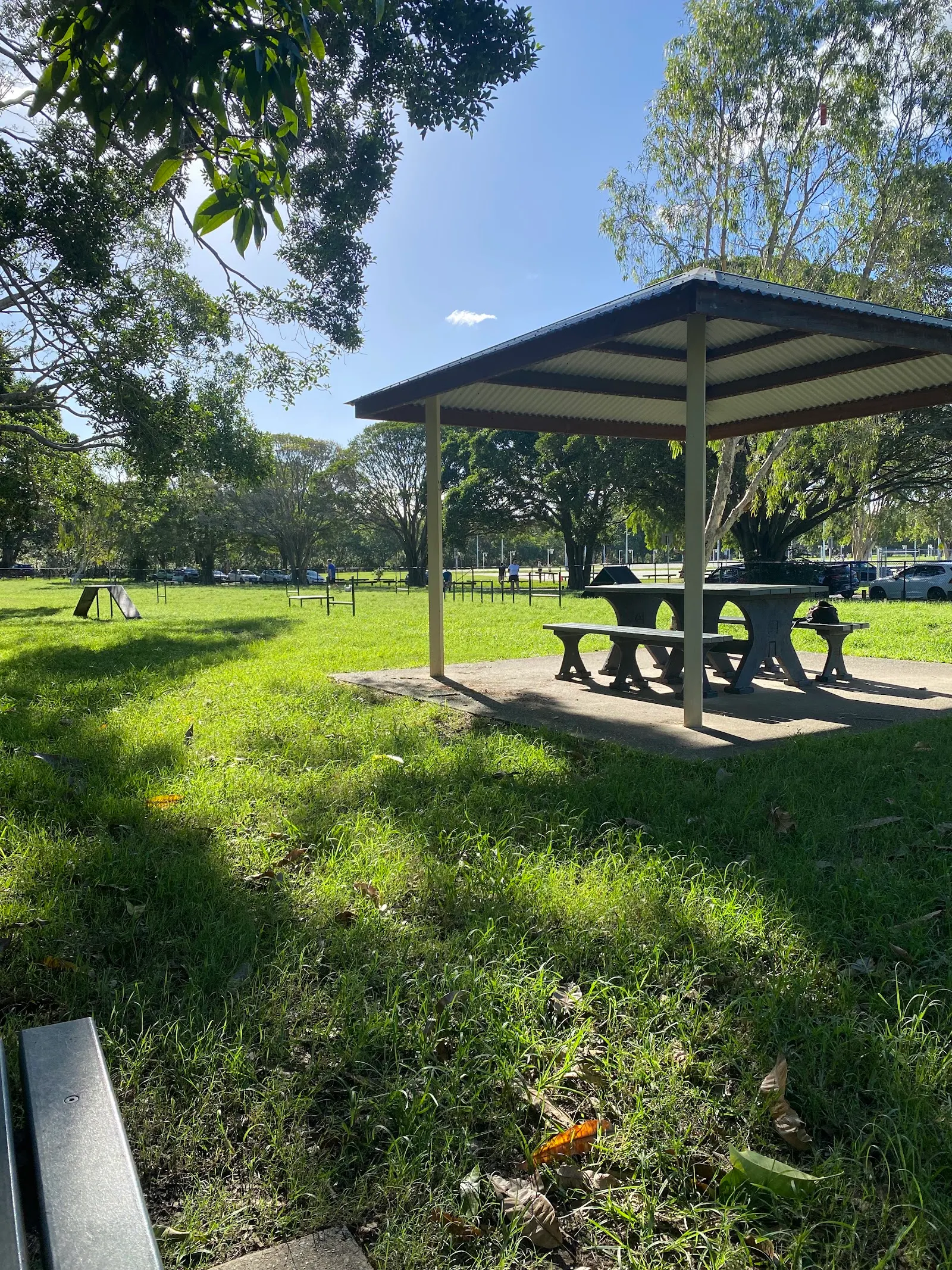 Northey Street Park Fenced Dog Park dog park