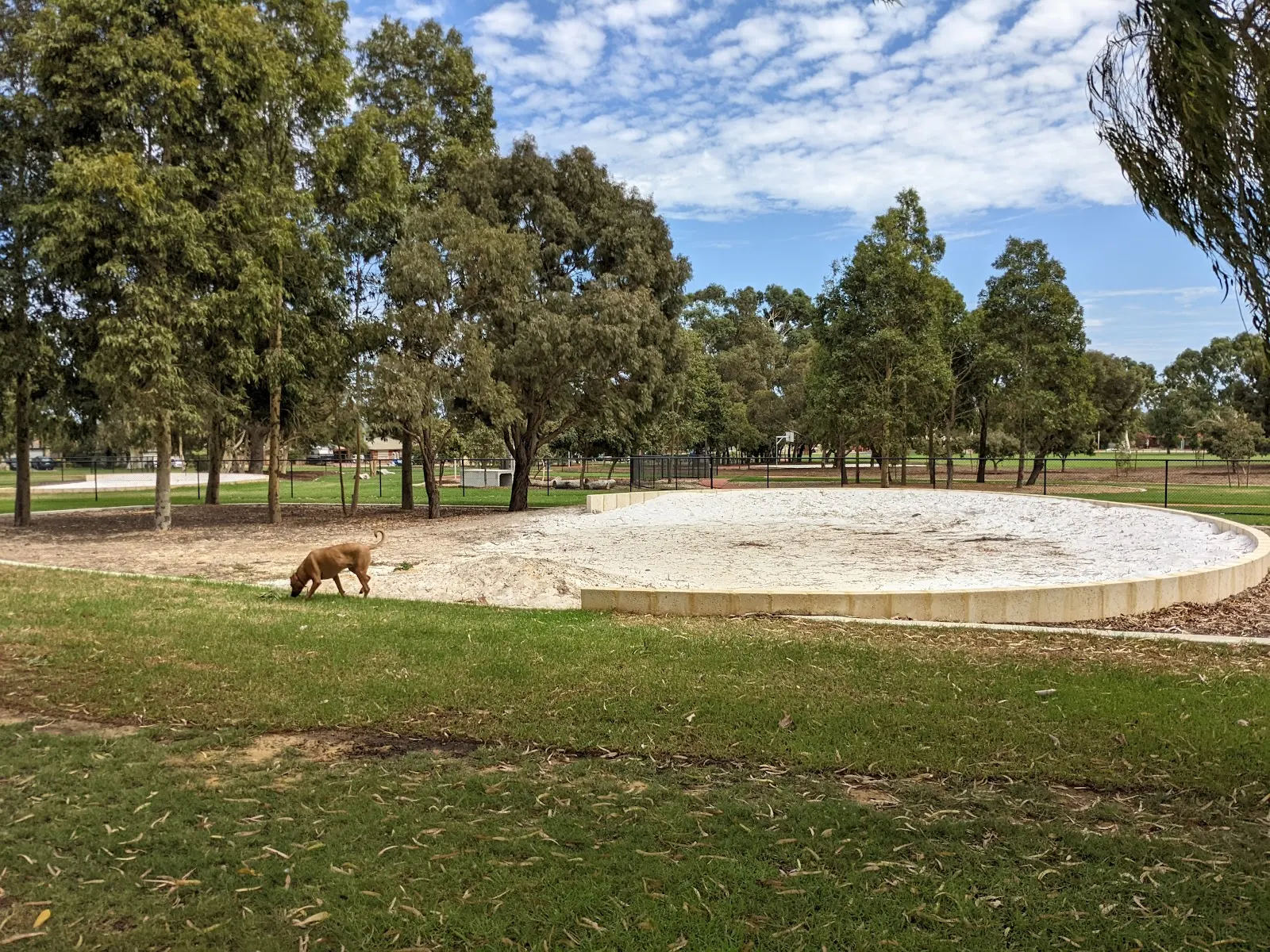 Harber Fenced Dog Park dog park