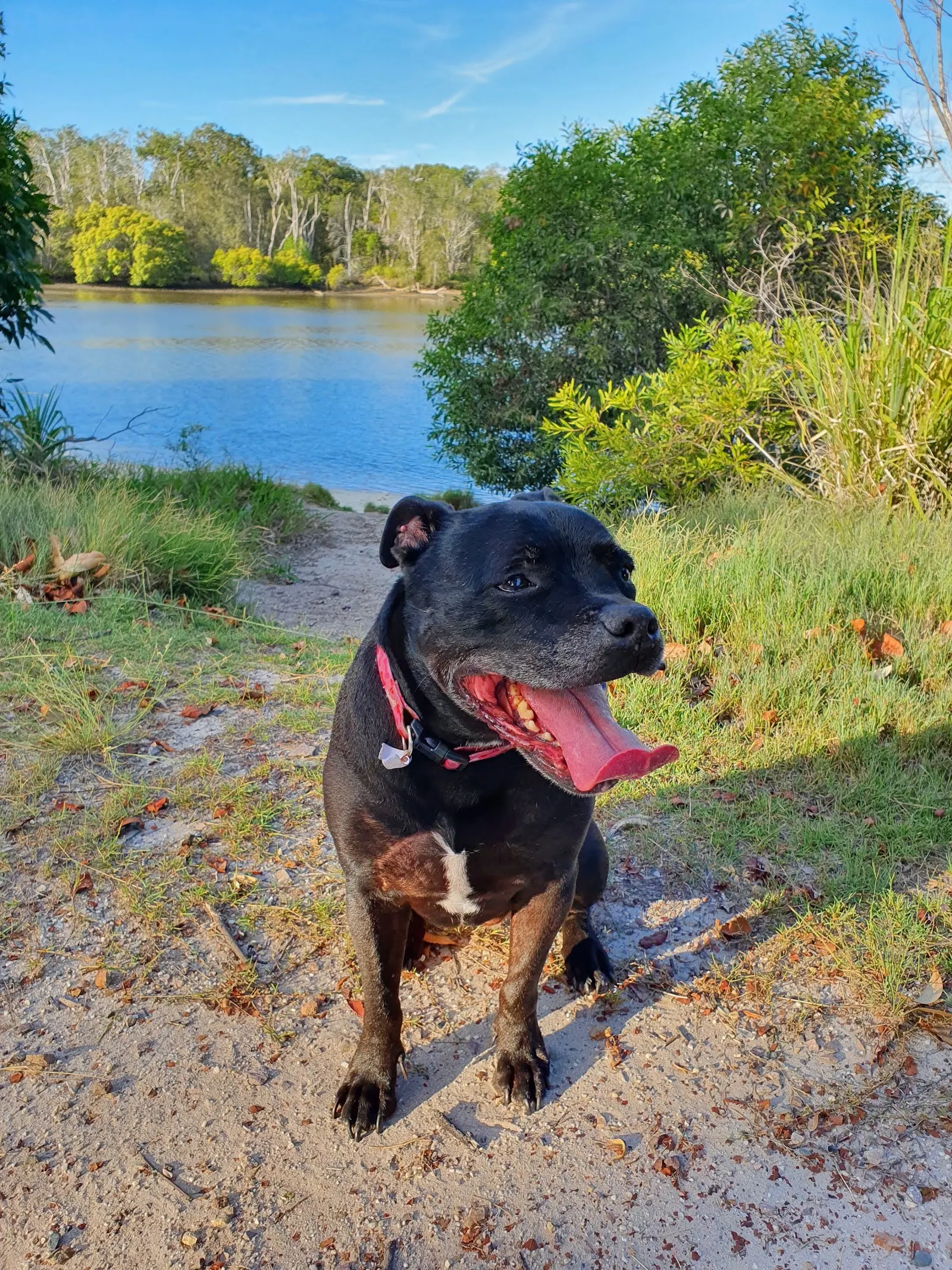 Quota Hideaway Park Dog Off Leash Area dog park