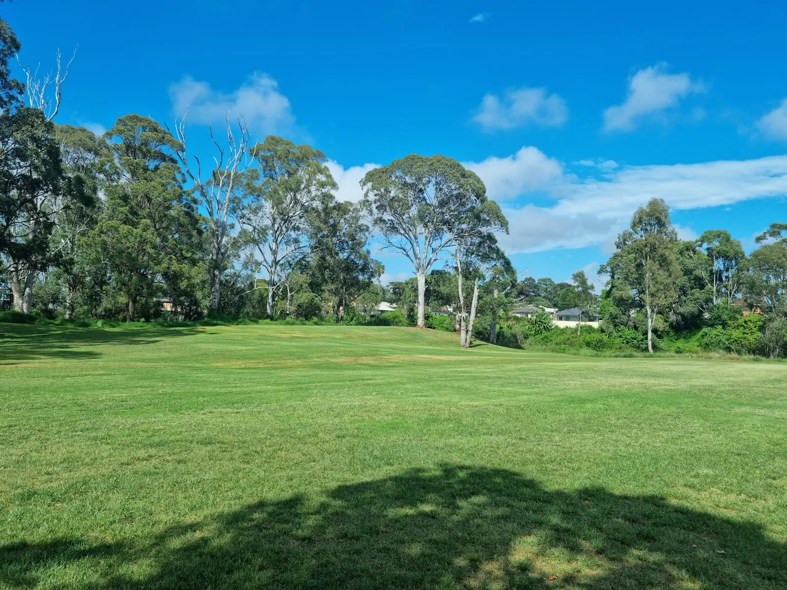 Canley Vale Dog Off-Leash Area dog park