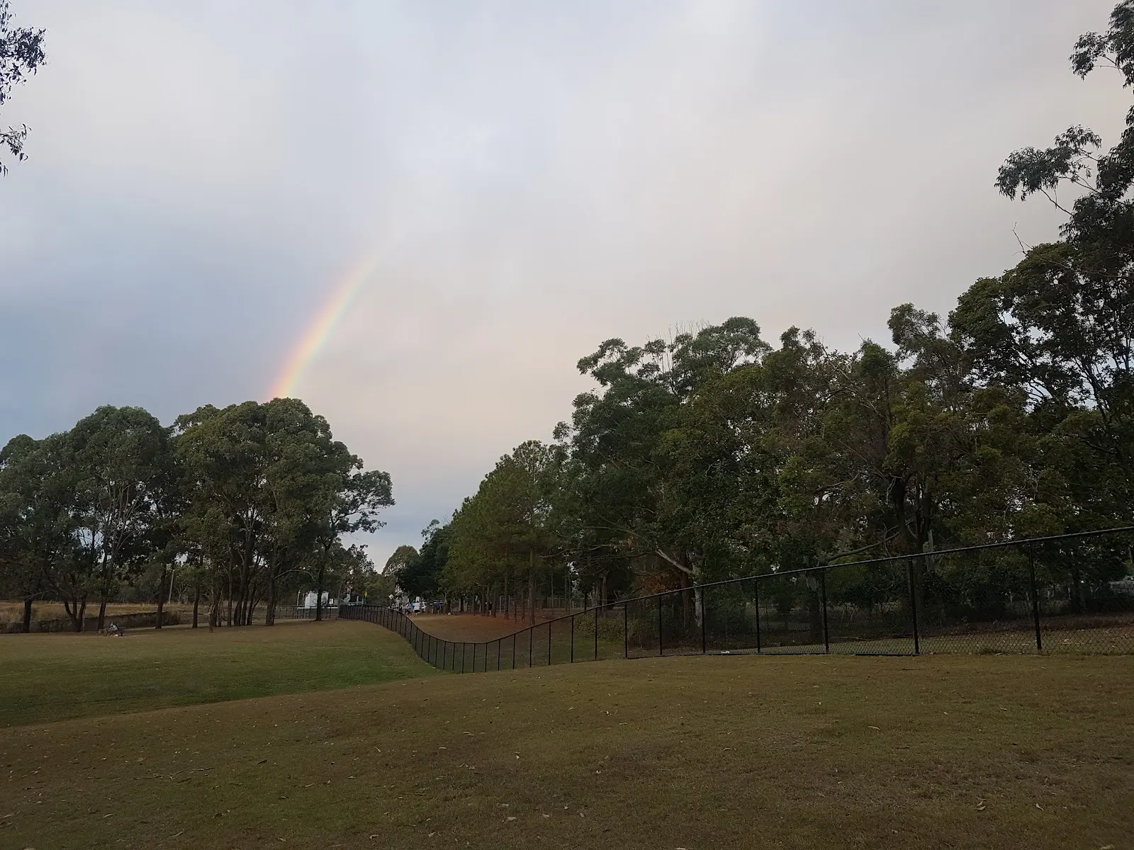 Grove Road Reserve Fenced Dog Park dog park