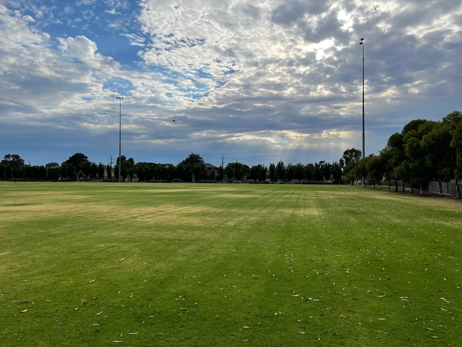 McKinnon Reserve Dog Off Leash Area dog park