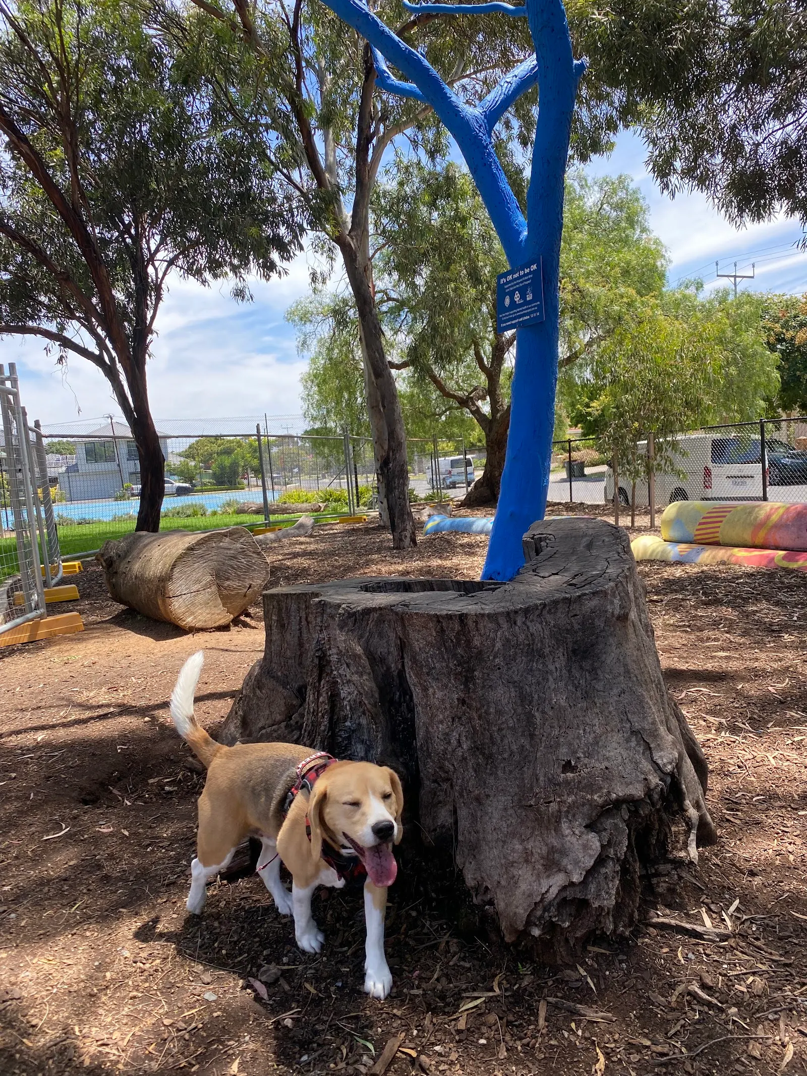 Broadview Fenced Dog Park dog park
