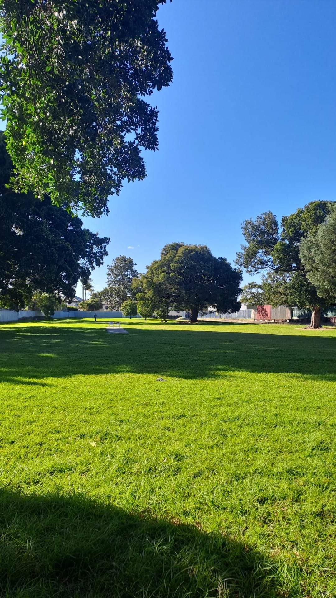 Purdue Park dog park