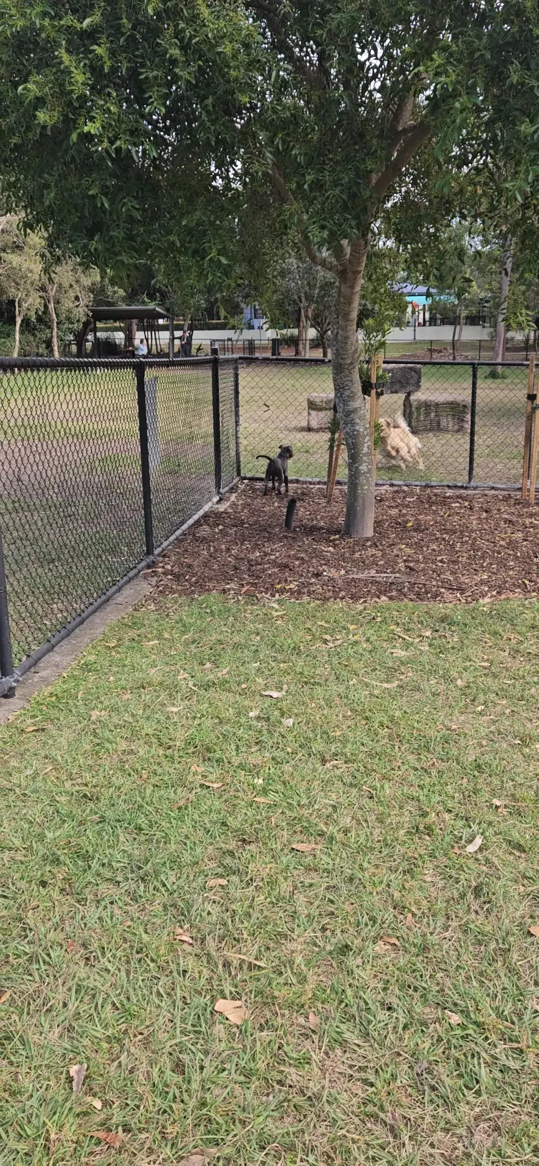 Ridgehaven Park Fenced Dog Park dog park