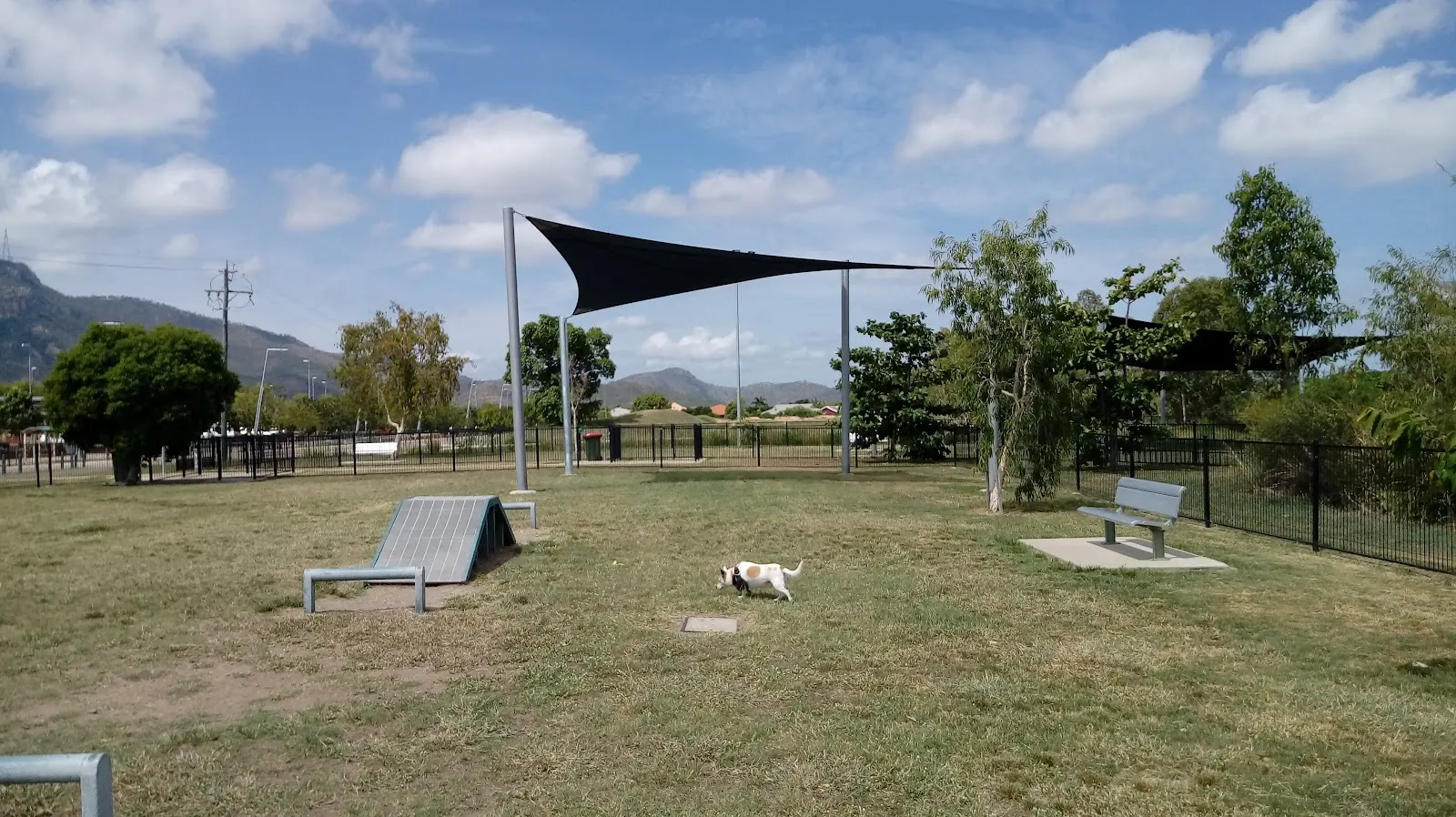 Murray Park Fenced Dog Park dog park