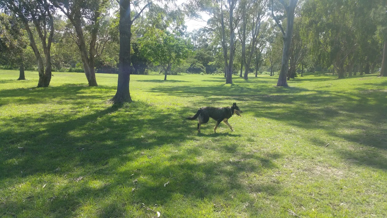 Brickyard Road Dog Park dog park