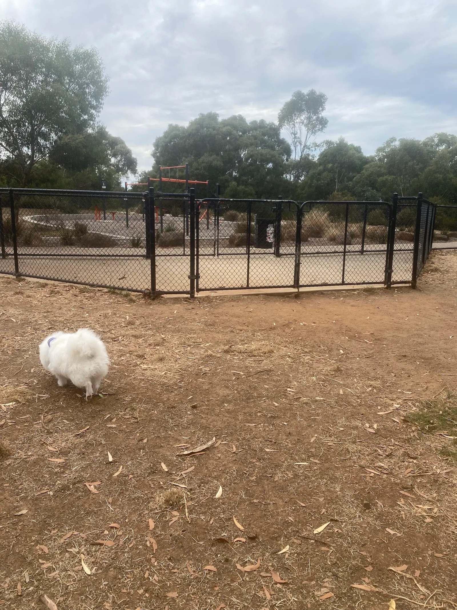 Fraser Street Reserve Fenced Dog Park dog park