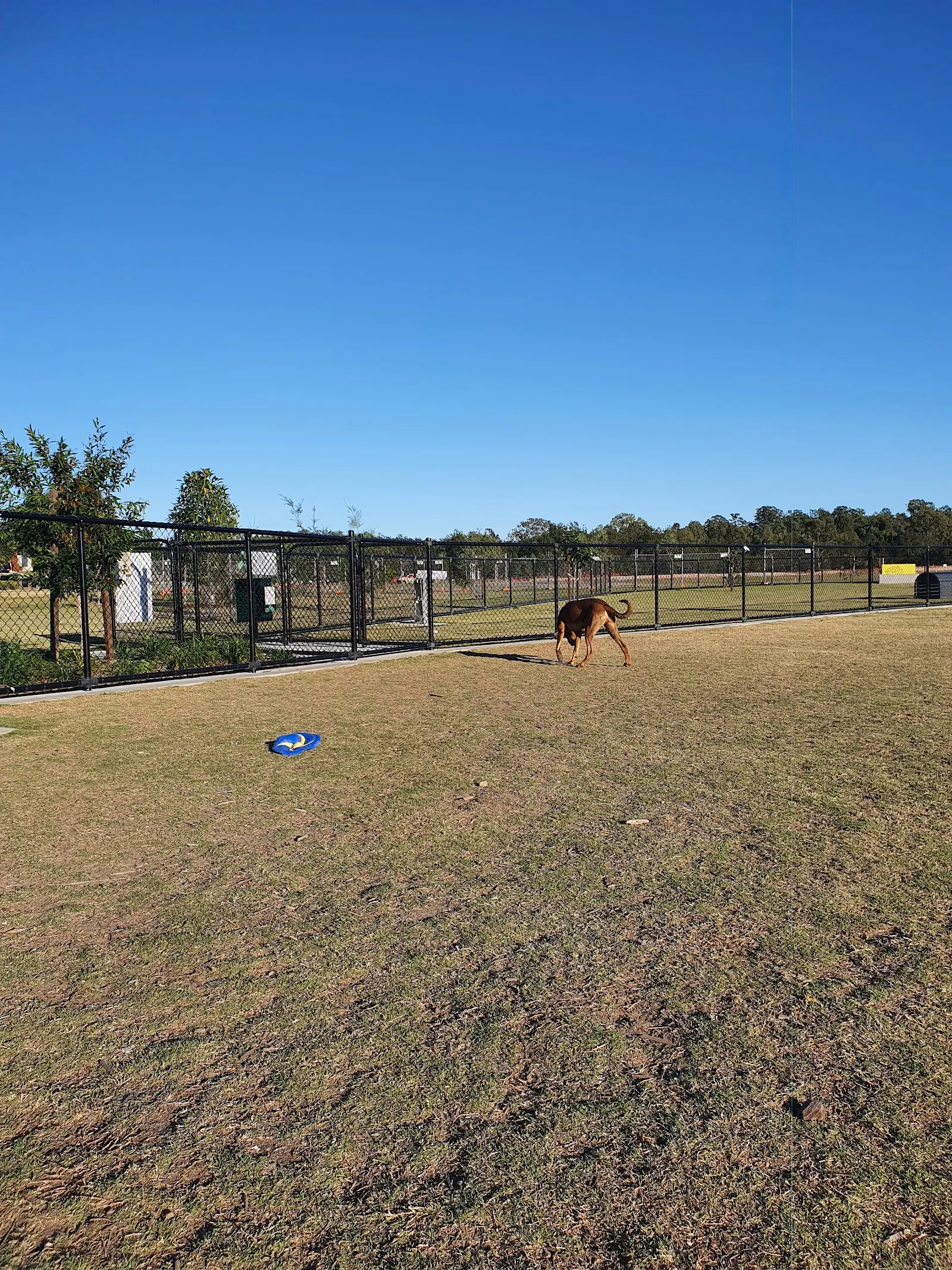Harmony Crescent Park Fenced Dog Park dog park