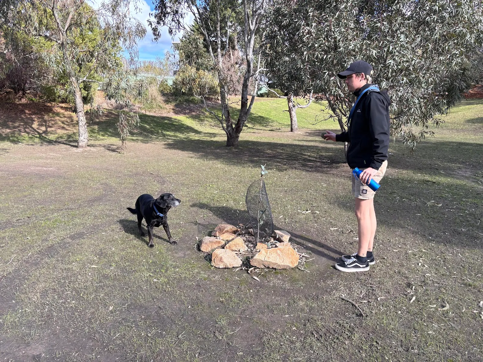 Pine Avenue Reserve Fenced Dog Park dog park
