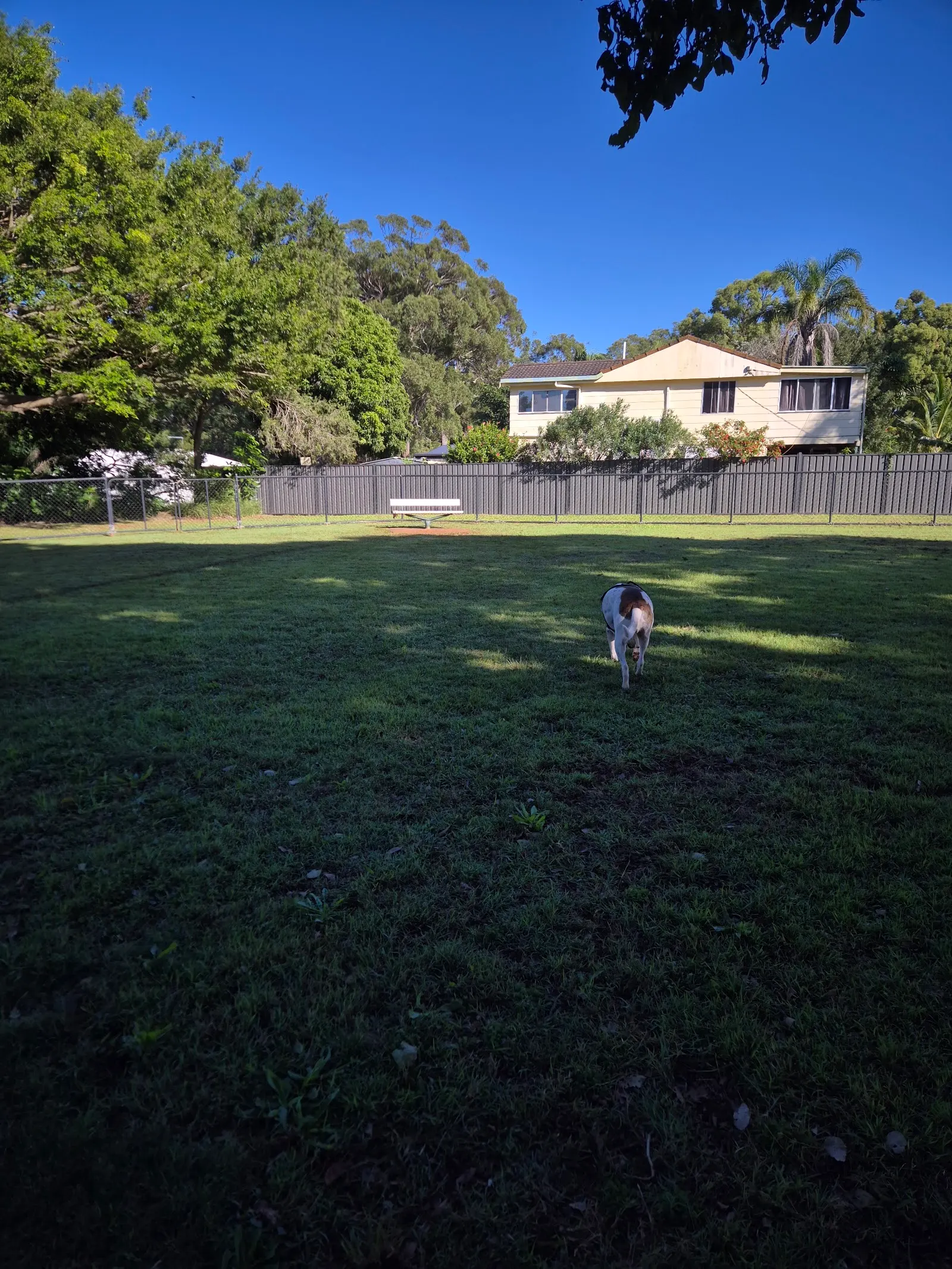 Russell Island Dog Park dog park
