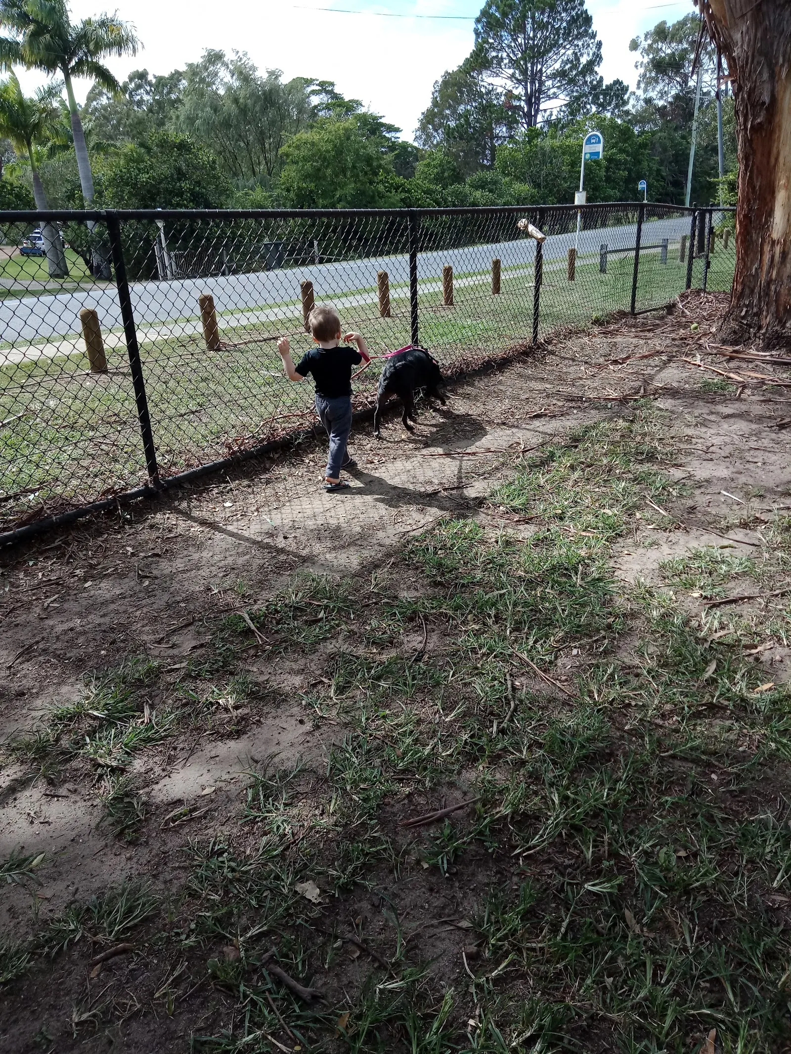Priestdale Road Fenced Dog Park dog park