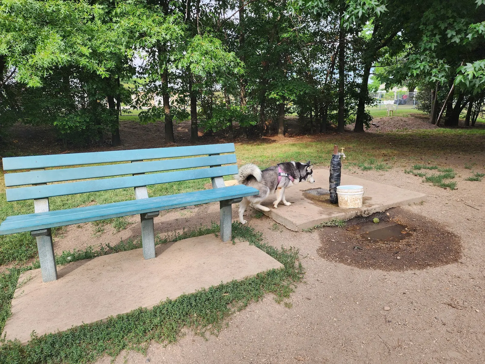 Kefford St Off-Leash Dog Park dog park