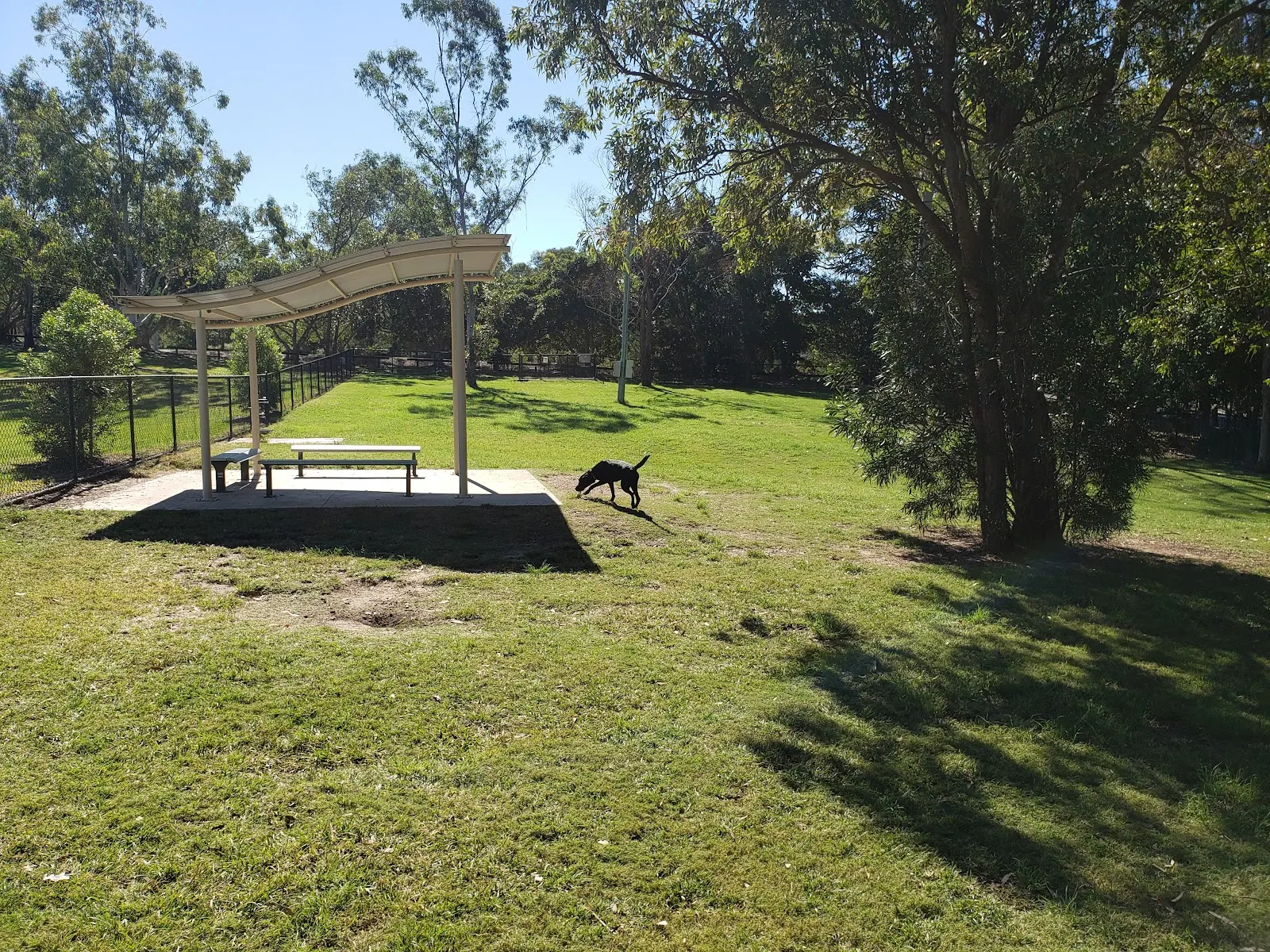 Sargent Reserve Fenced Dog Park dog park