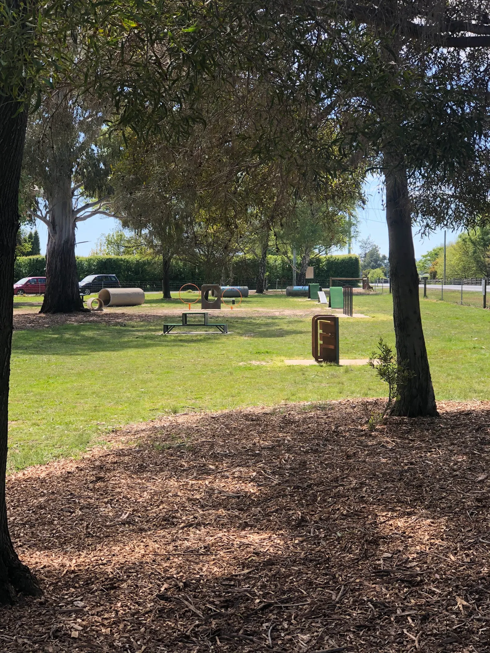 Coronation Park Fenced Dog Park dog park