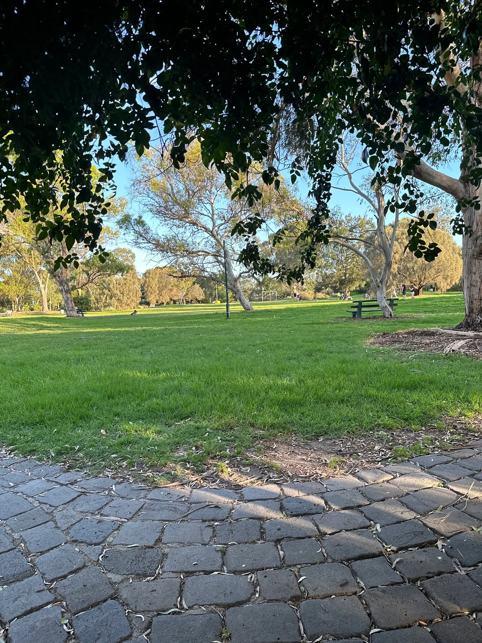 Eastern Reserve Dog Park dog park