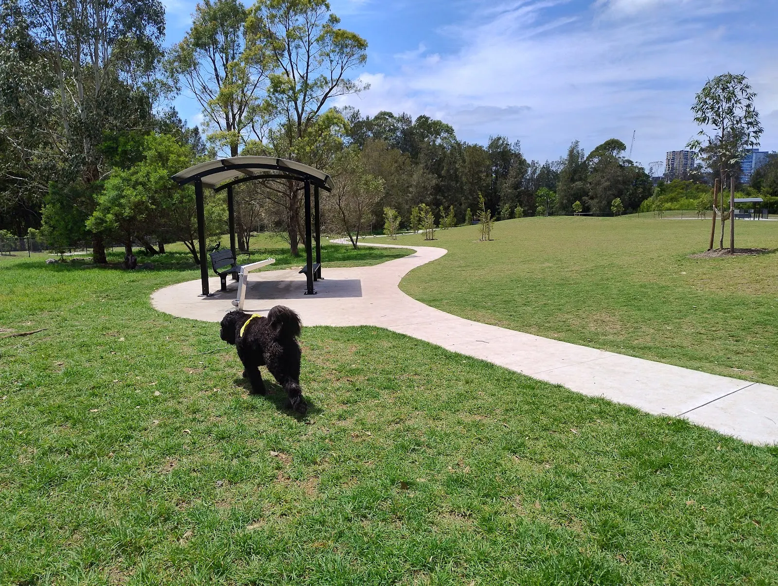 George Kendall Riverside Park Fenced Dog Park dog park