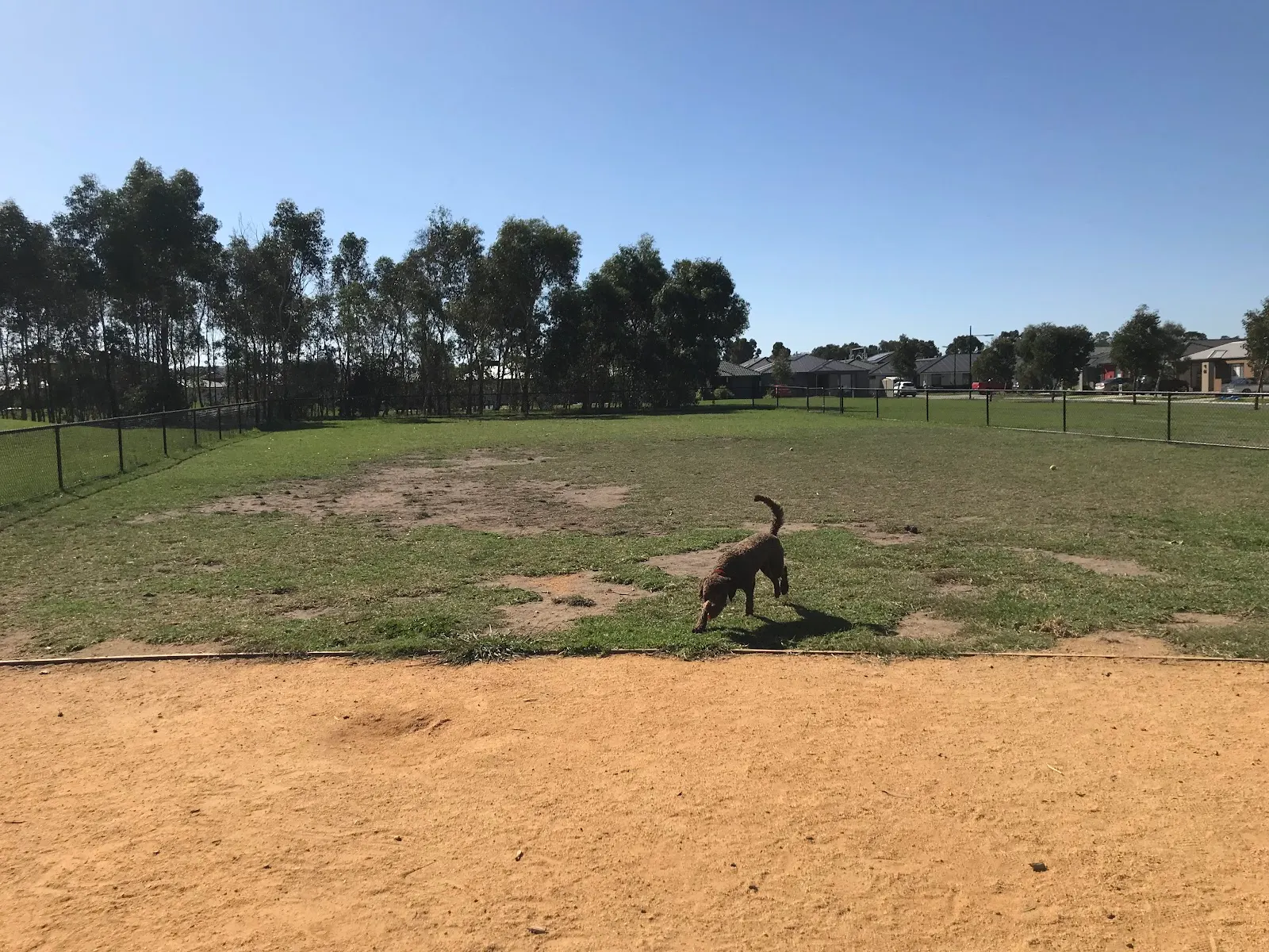 Greenfield Lane Fenced Dog Park dog park