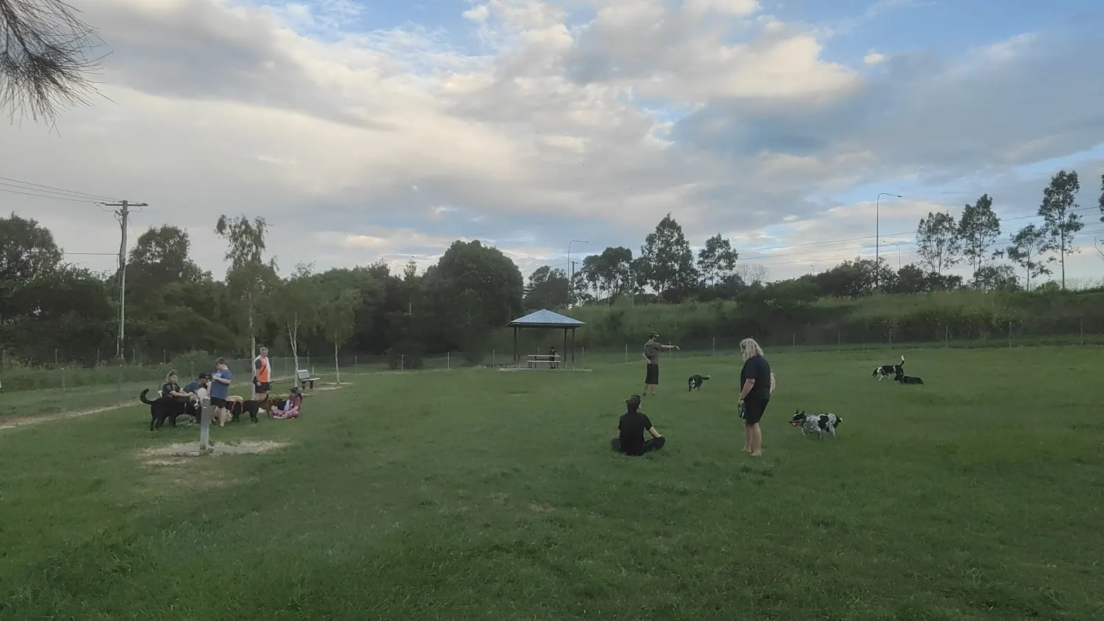 Goodna Park Fenced Dog Park dog park