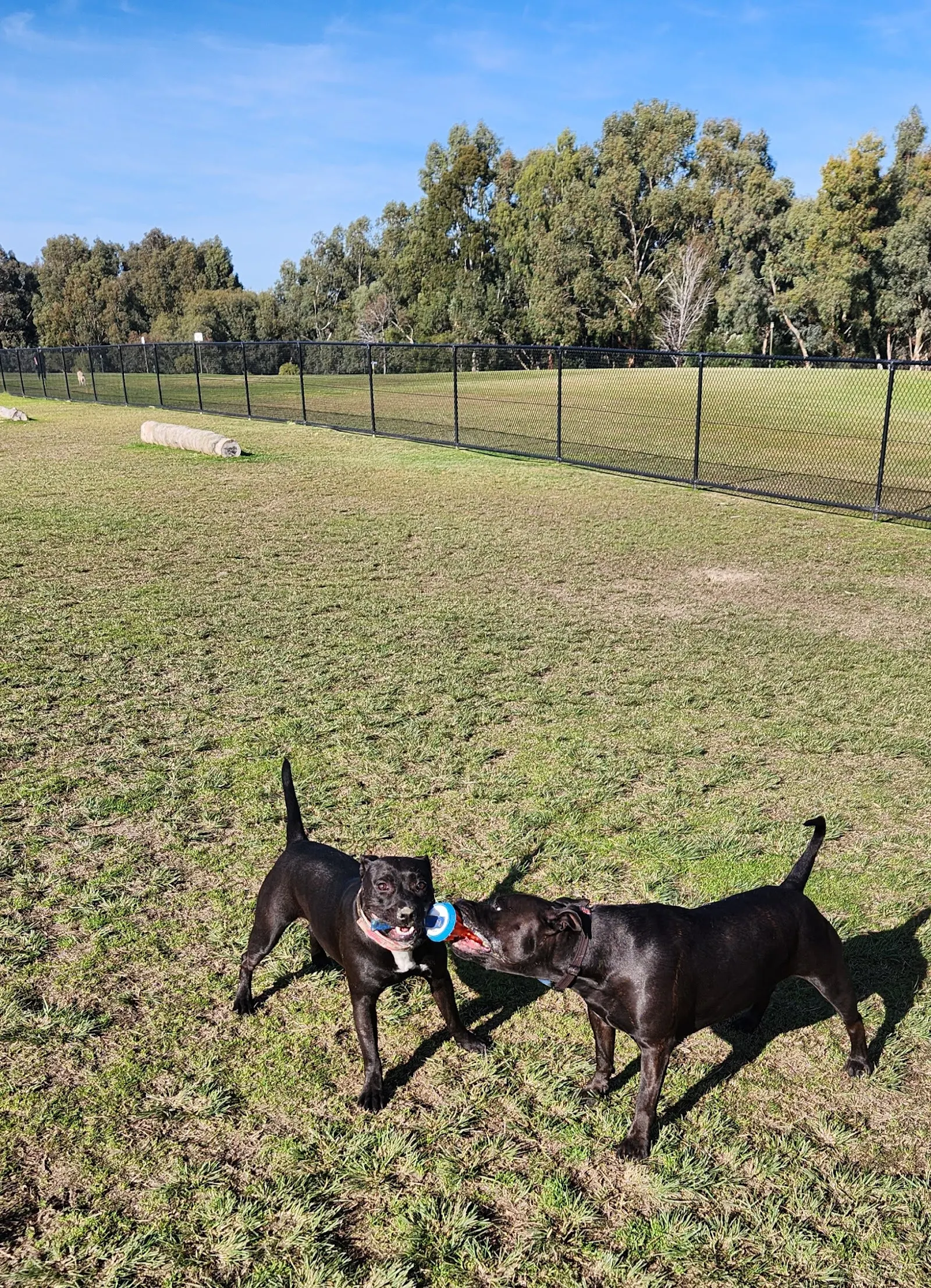 Riverside Gardens Dog Exercise Area dog park