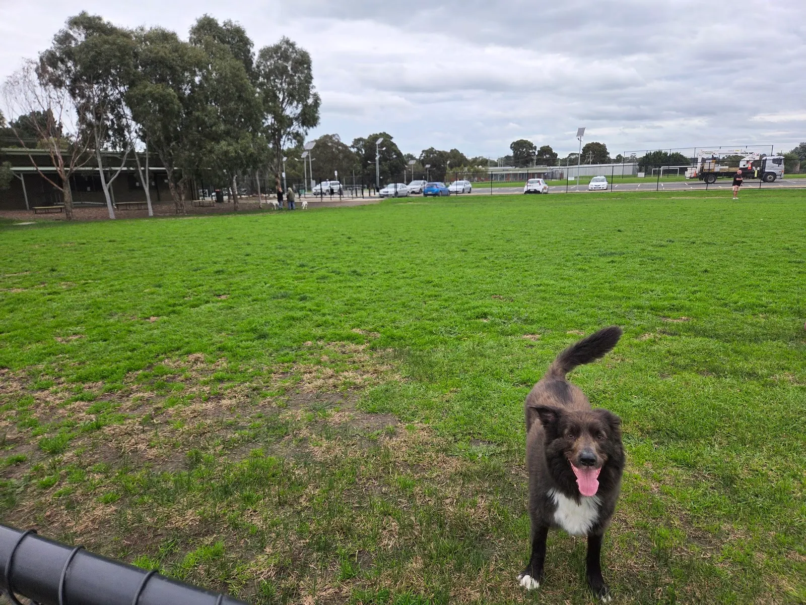Centenary Park Dog Off Leash Area dog park