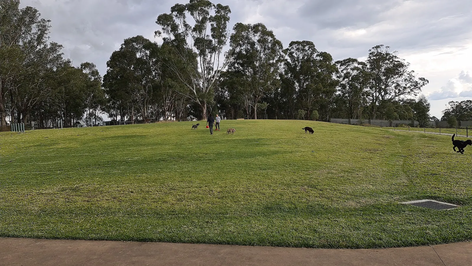 Titan Park Fenced Dog Park dog park