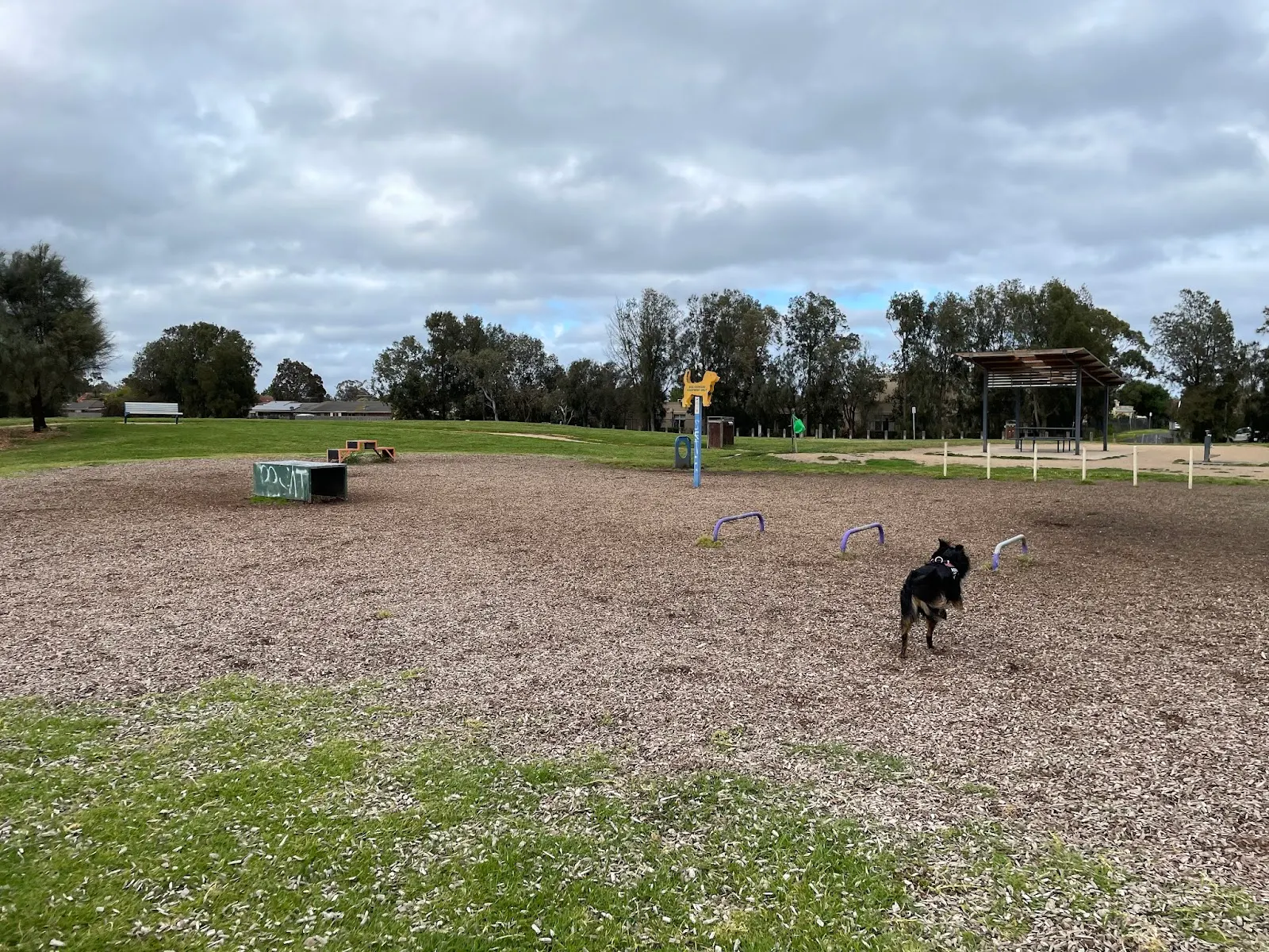 Chelsea Bicentennial Park Dog Off Leash Area dog park
