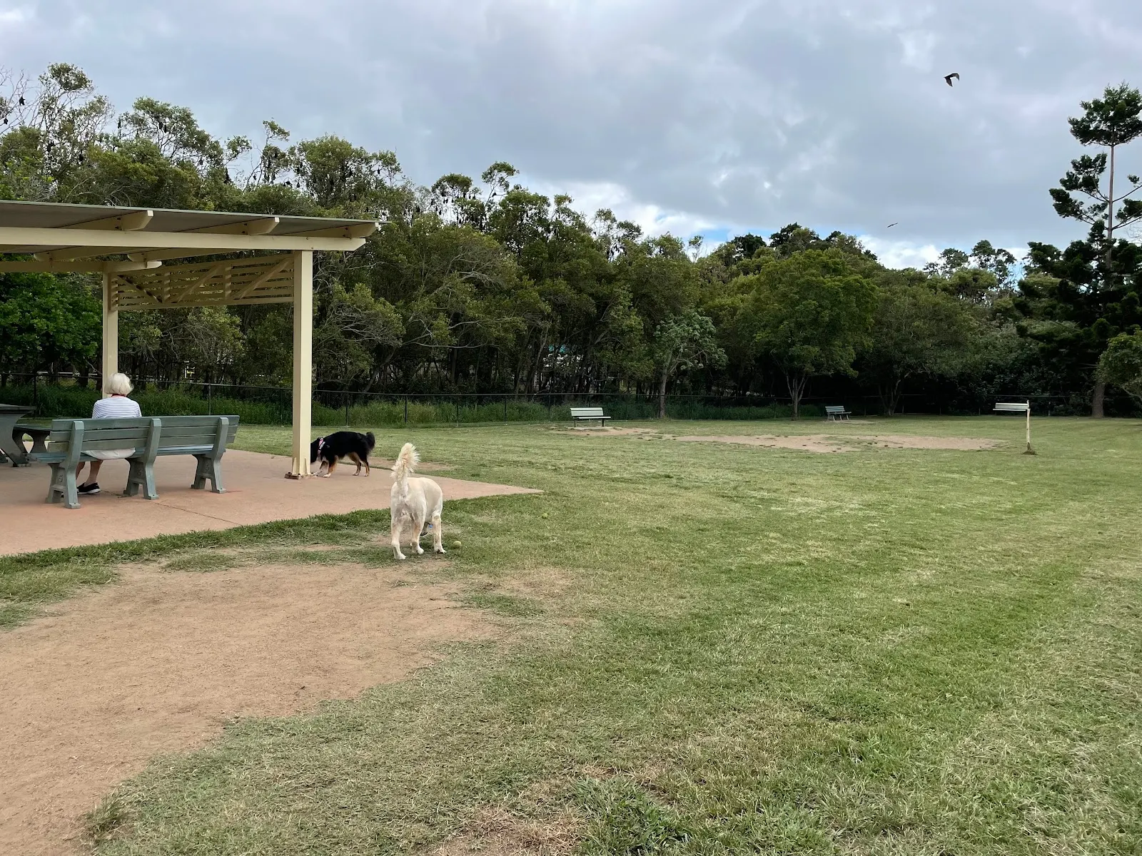 Dog Recreation Area - Large Dogs dog park
