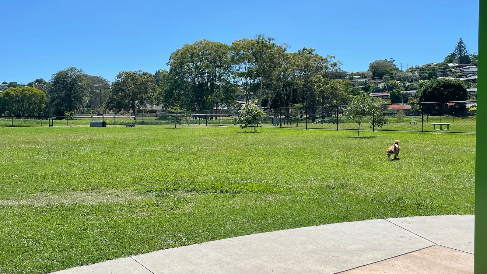 John Baker Reserve Fenced Dog Park dog park