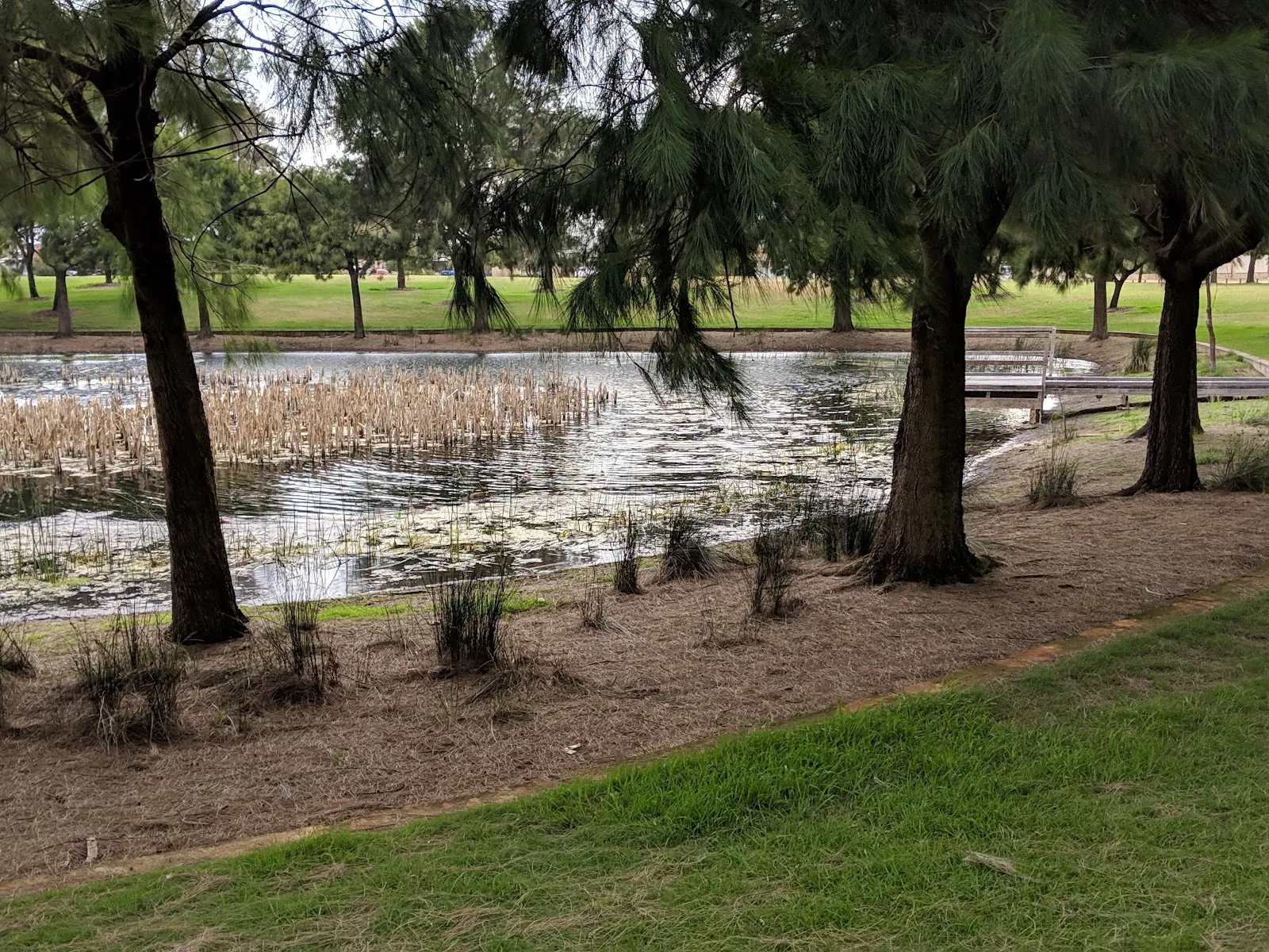 St Raphael Reserve dog park