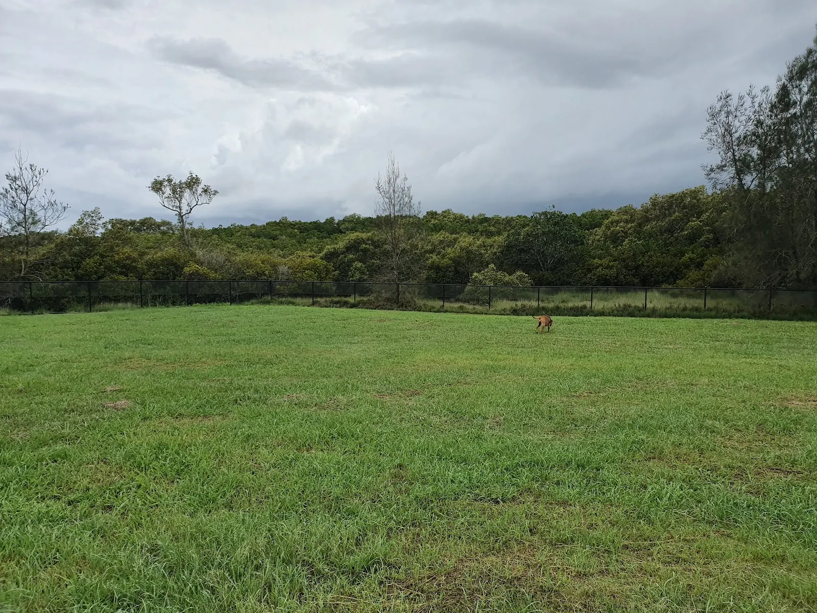 Point Talburpin Dog Park dog park