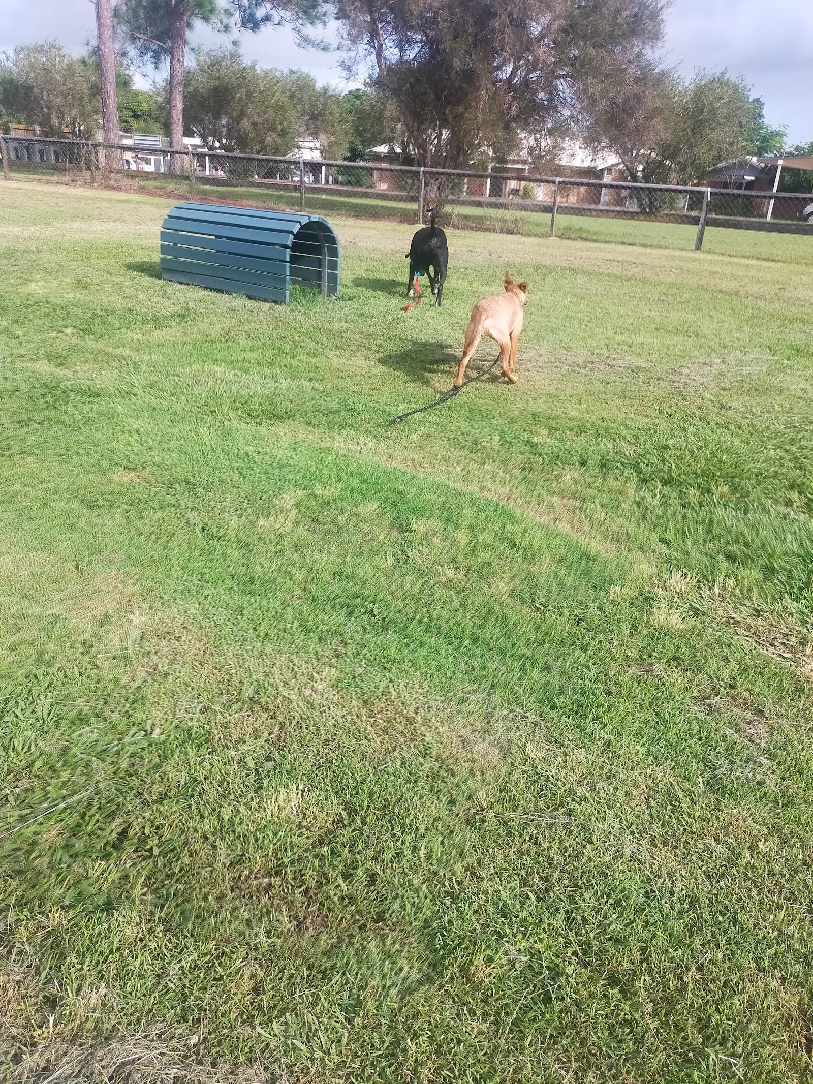 Rambo Dog Park dog park
