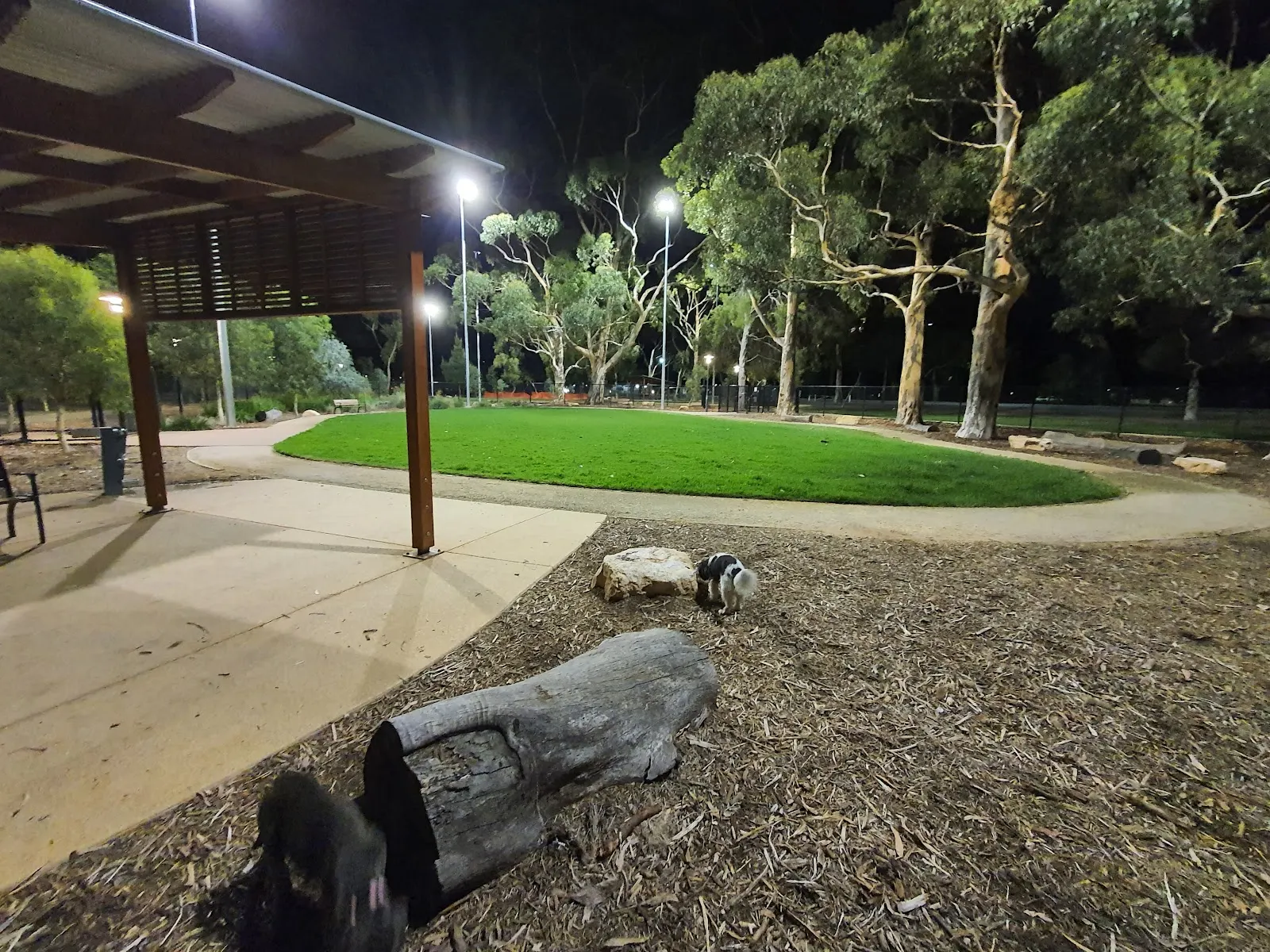 Fenced Dog Park (Small Dog), Adelaide