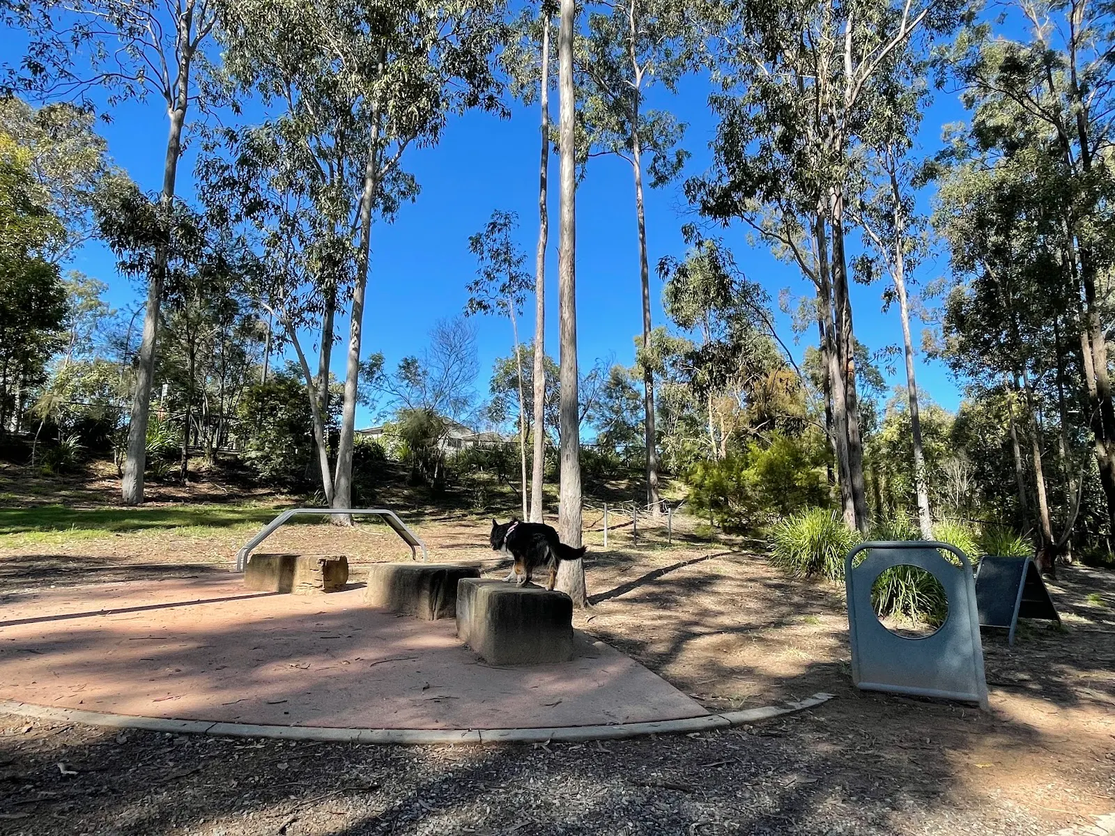 Springfield Lakes Dog Park dog park