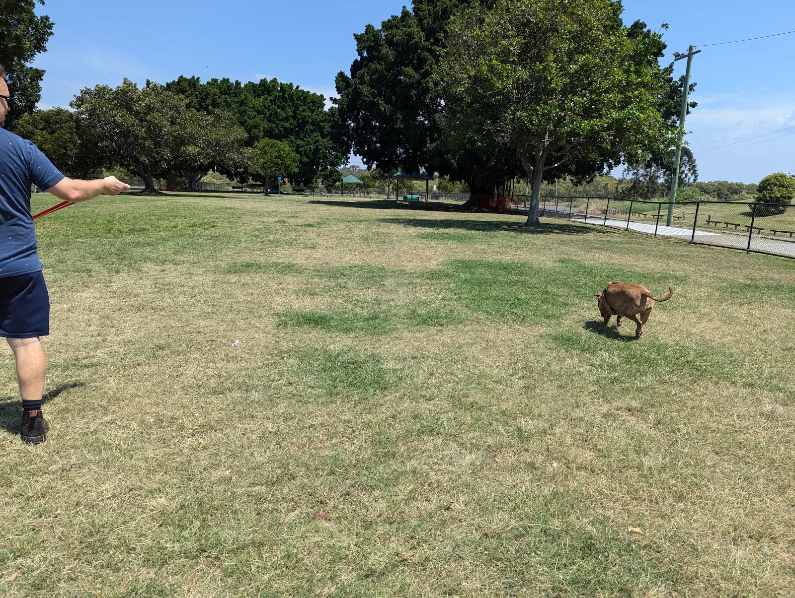 Curlew Park Fenced Dog Park dog park