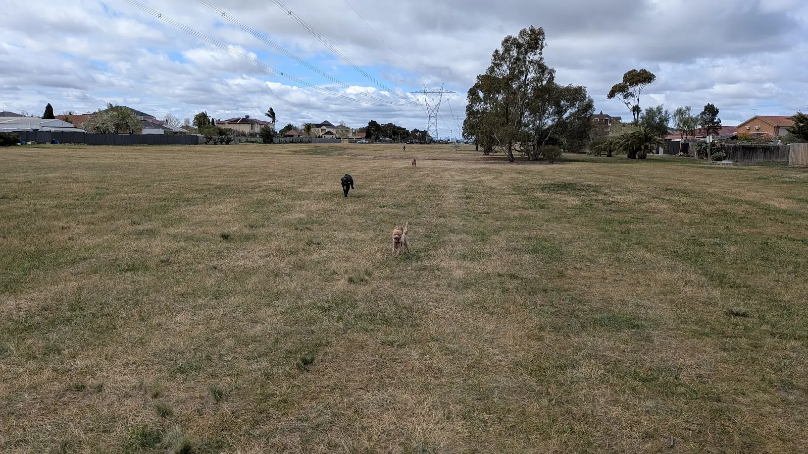 Taylors Lakes Dog Park dog park