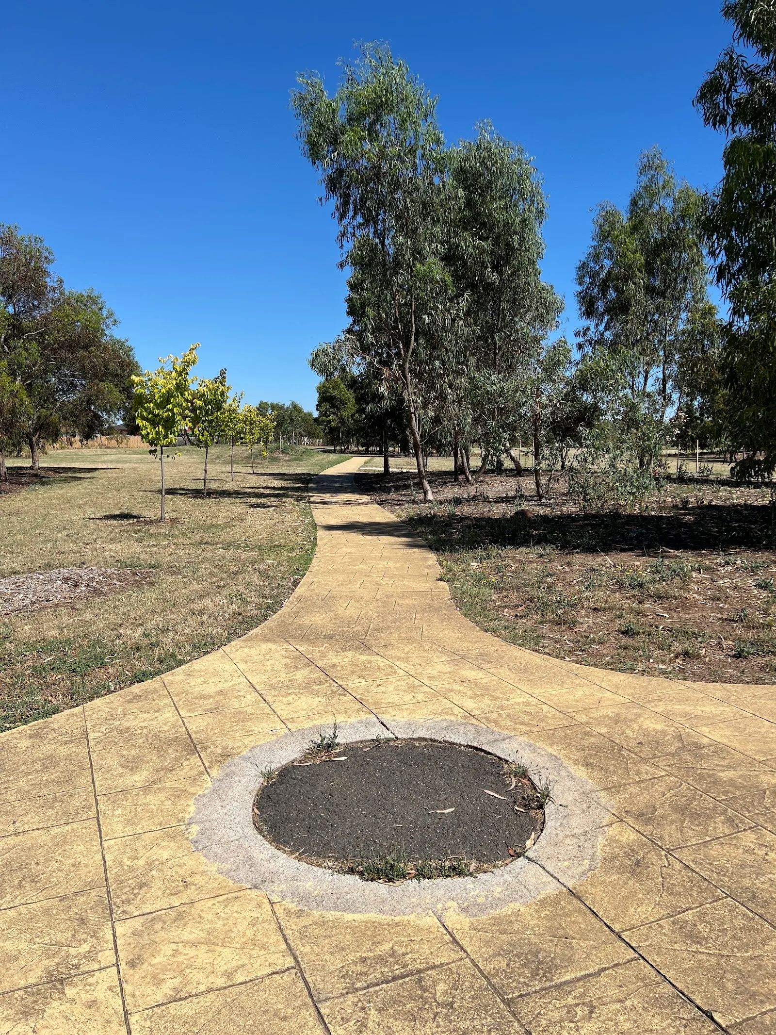 International Gardens Reserve Fenced Dog Park dog park