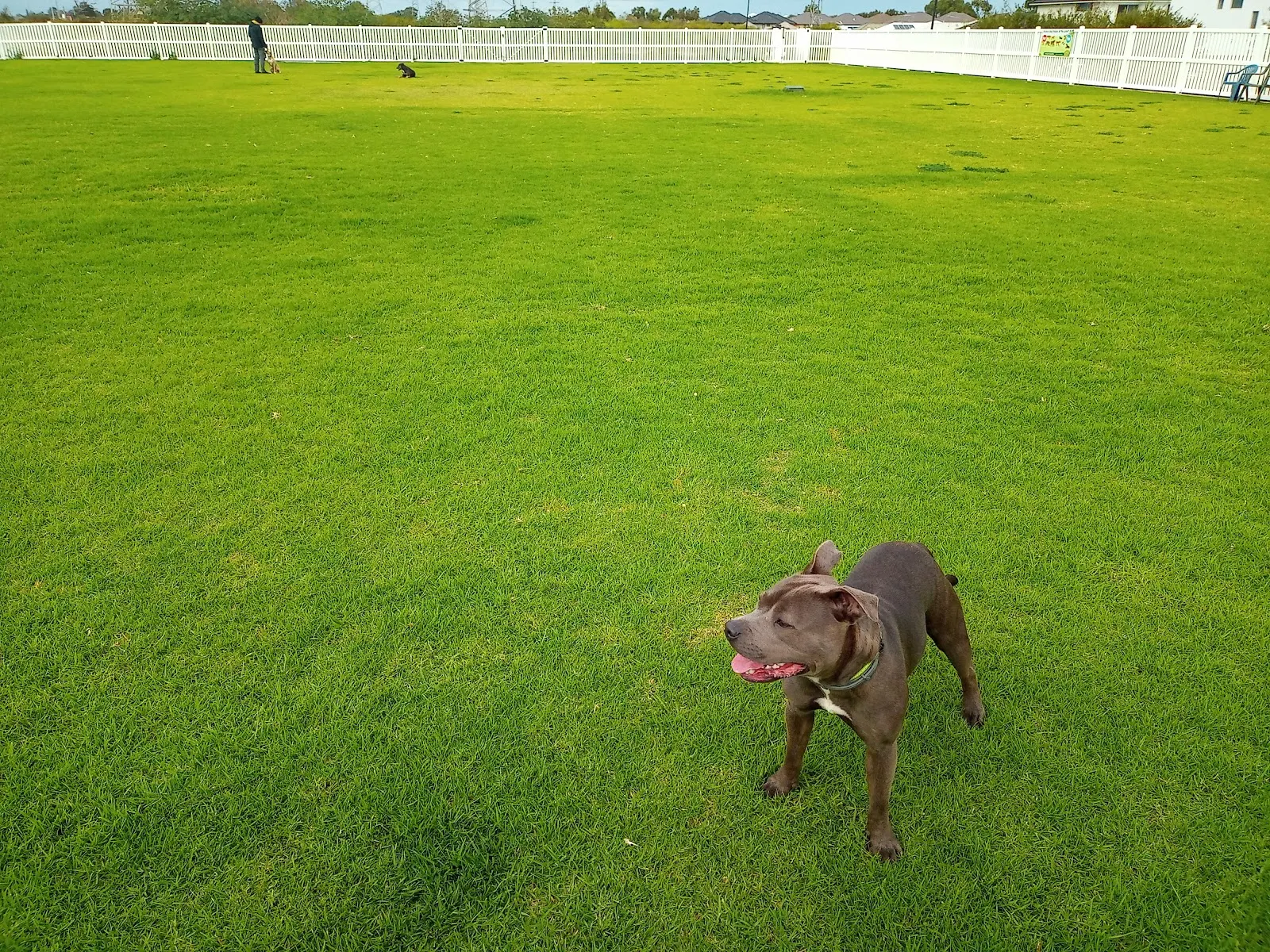 Baler Court Fenced Dog Park dog park