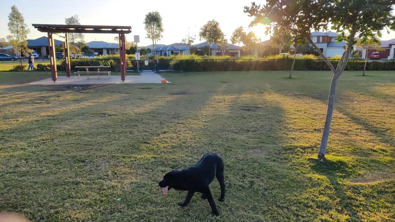 Pimpama Fenced Dog Park, Pimpama