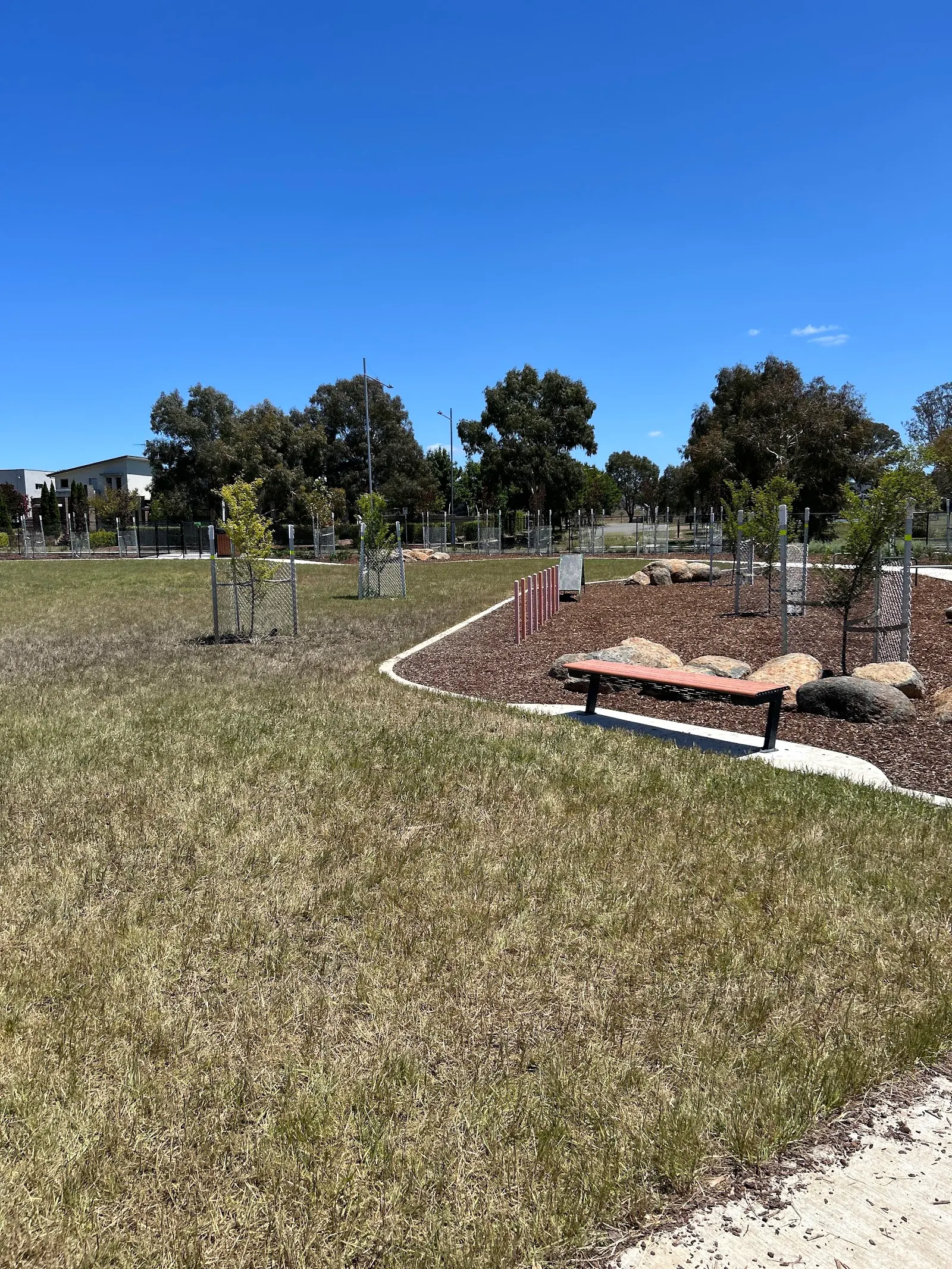 Franklin Dog Park dog park
