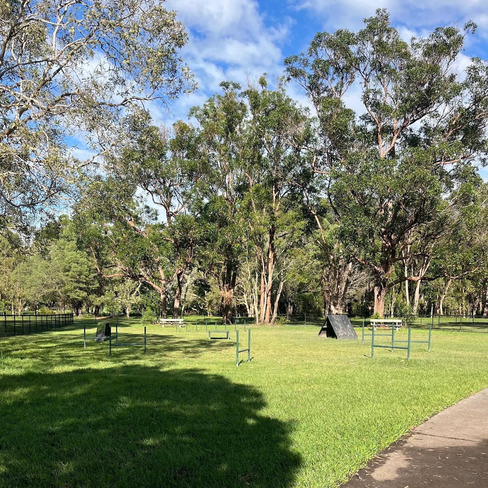 Little Mountain Common Fenced Dog Park dog park