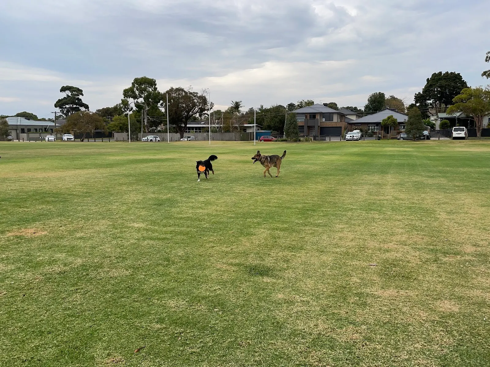 Walter Galt Reserve Dog Off Leash Area dog park