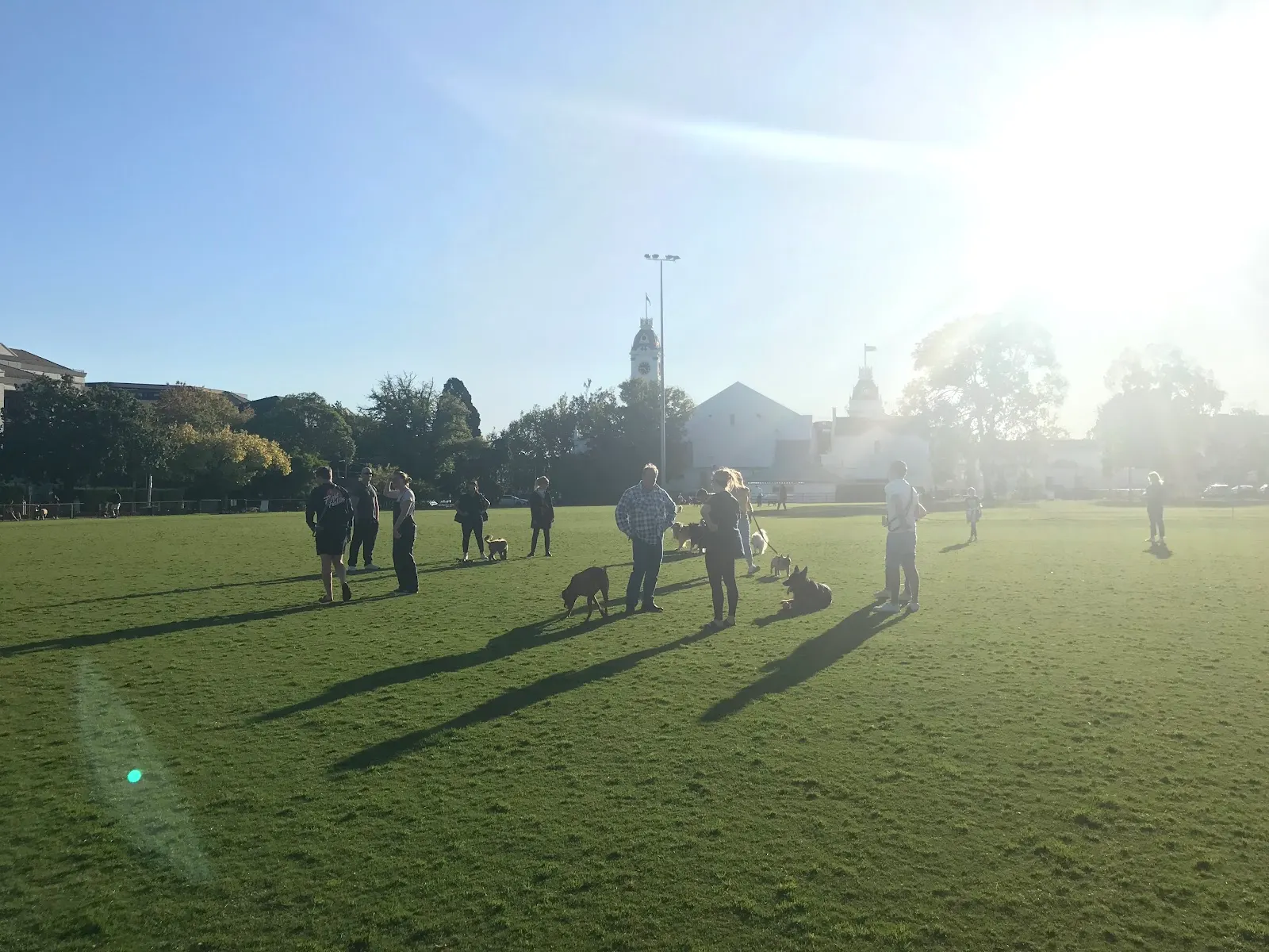 Malvern Cricket Ground Dog Off Leash Area dog park