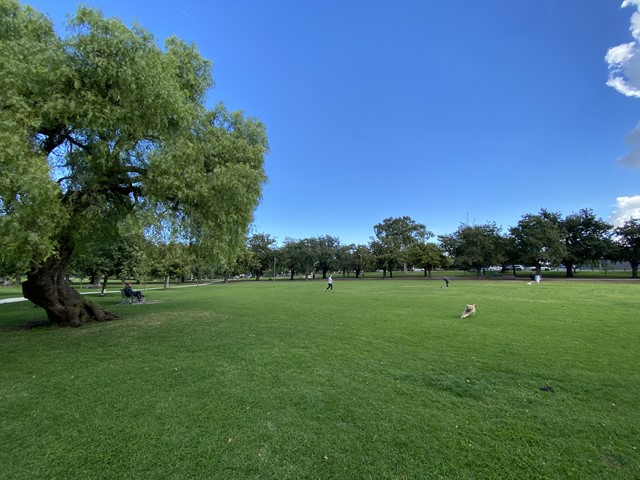 Barkly Gardens Dog Off Leash Area dog park