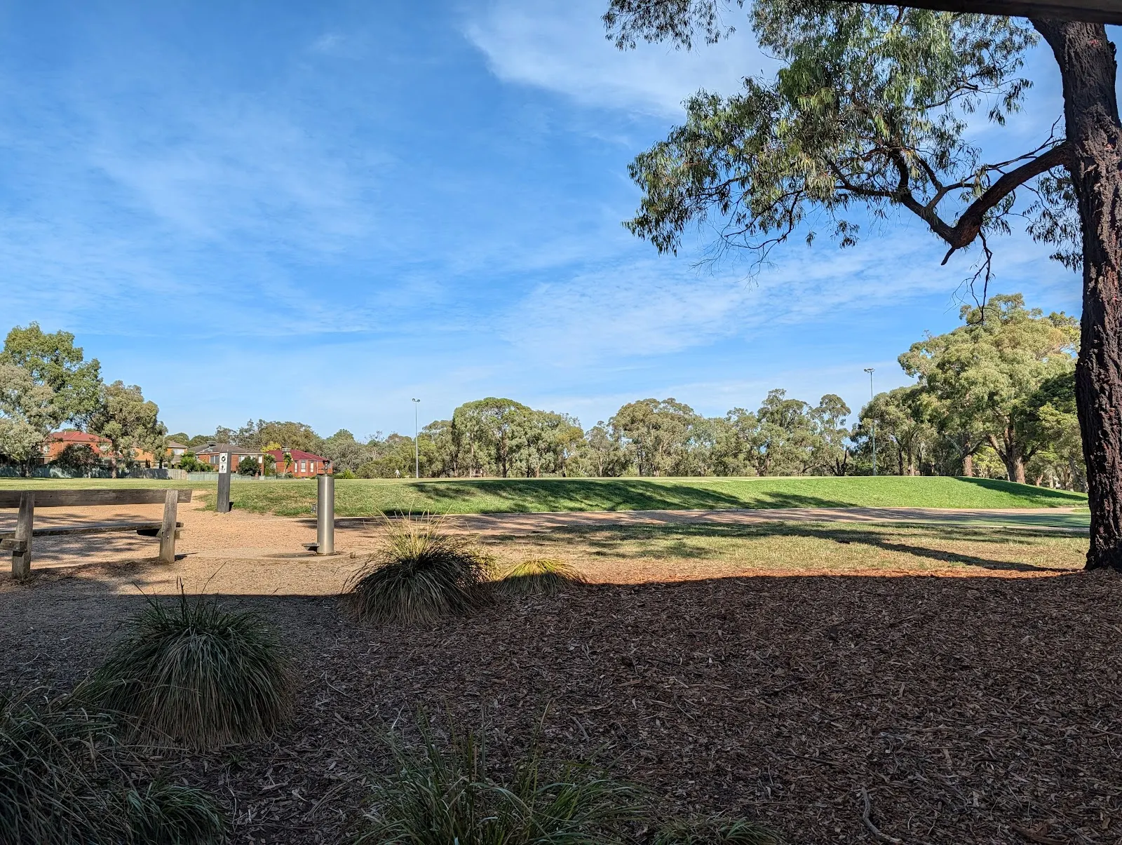Mahoneys Reserve Fenced Dog Off Leash Area, Forest Hill